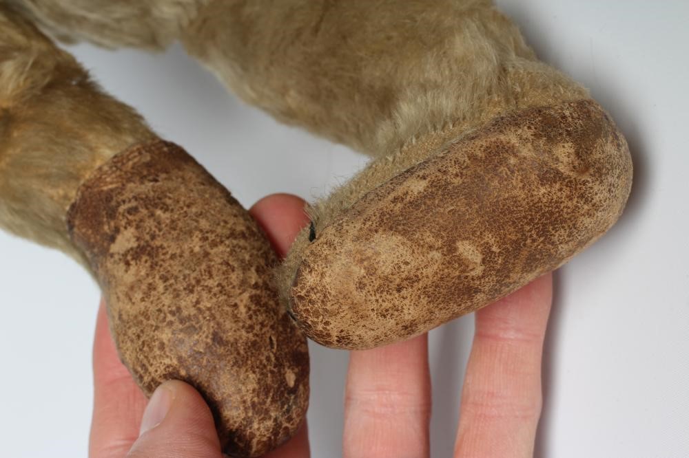 An early German teddy Image