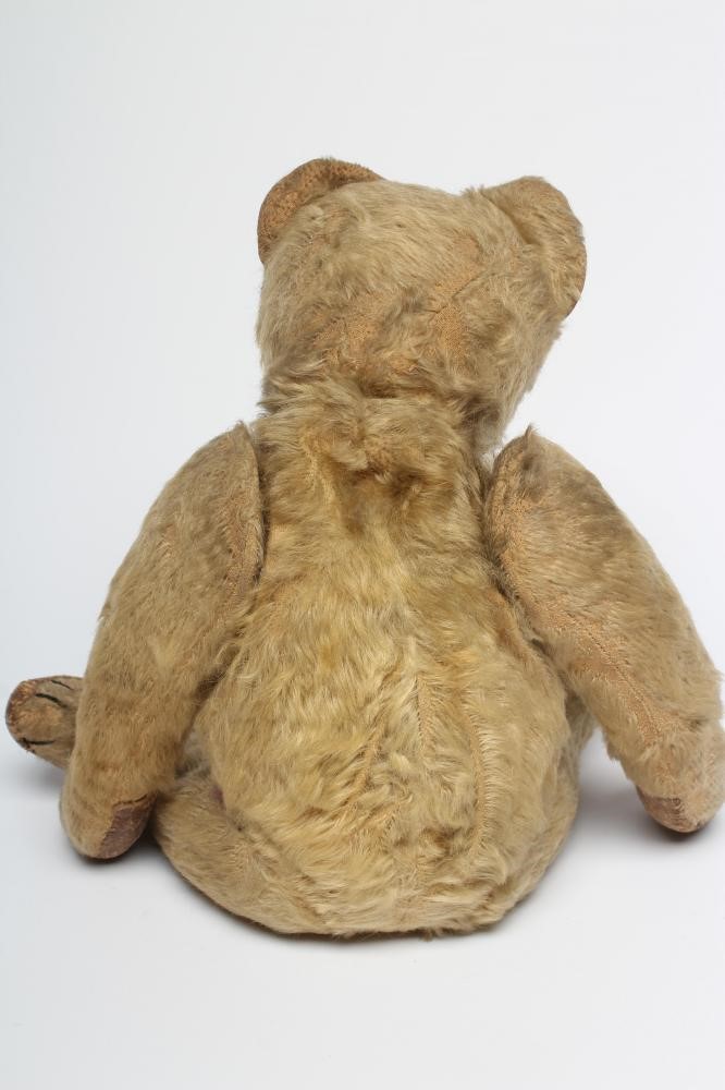 An early German teddy Image