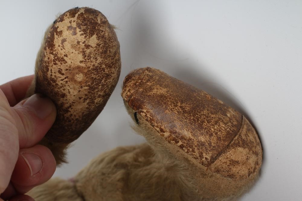 An early German teddy Image