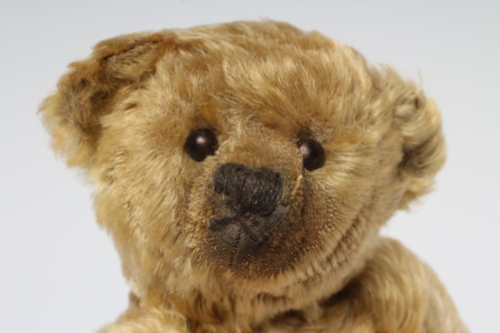 A pre-war Farnell teddy "Archie" Image