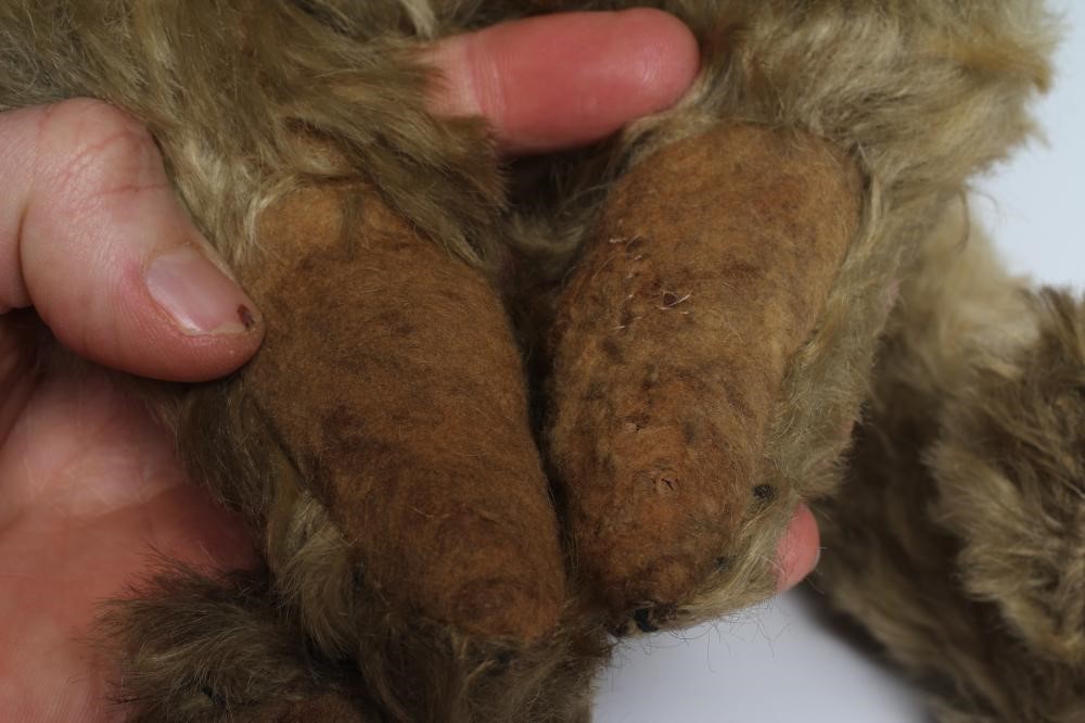 An early German straw filled teddy Image