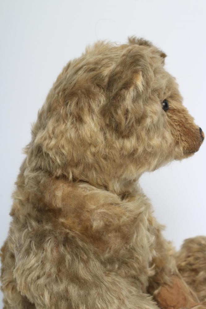 An early German straw filled teddy Image