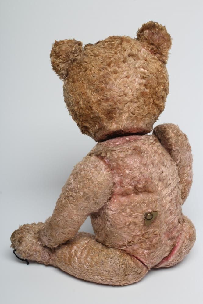 A musical pink teddy Image