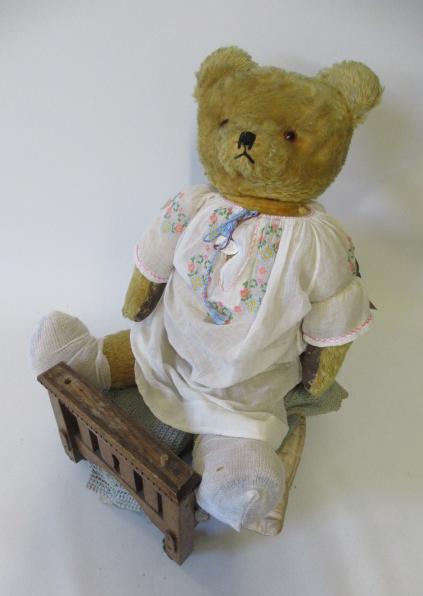 A English teddy Image