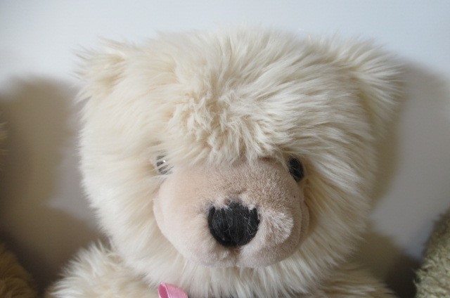 Eight collector's teddy bears Image