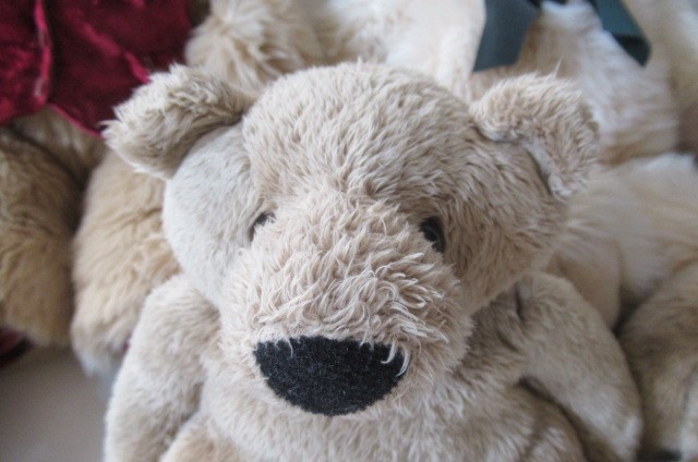 Eight collector's teddy bears Image