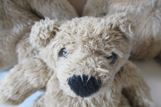 Eight collector's teddy bears Image