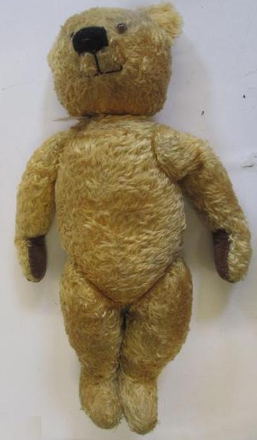 An English teddy bear Image