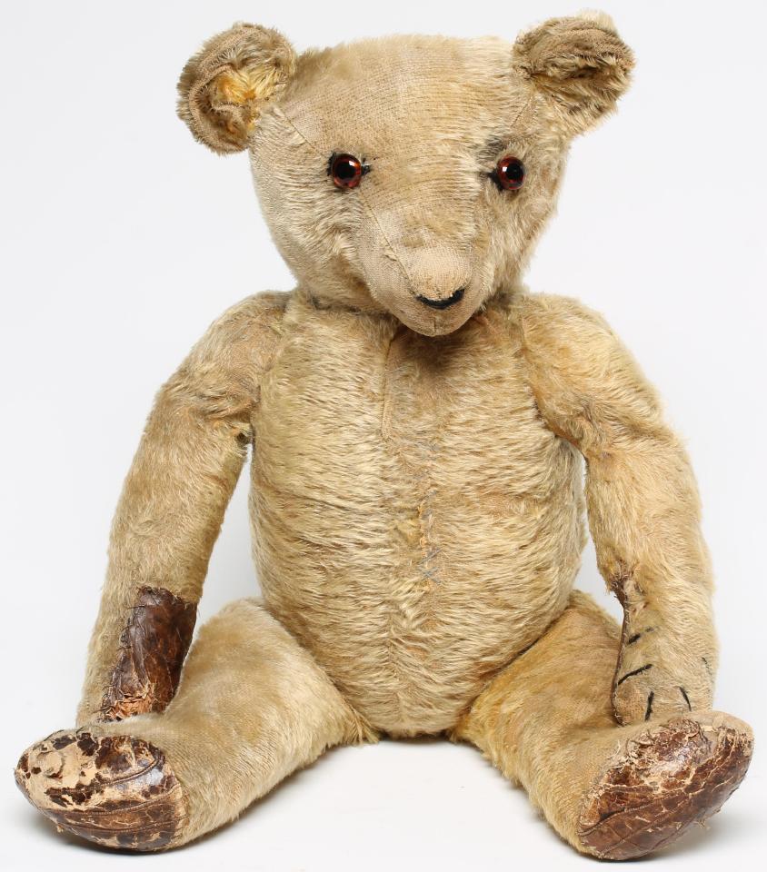 An English teddy bear Image