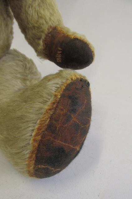 A Chad Valley teddy Image