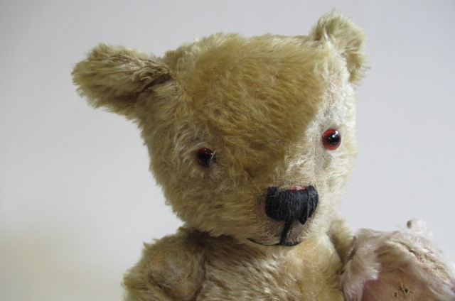 An old teddy Image