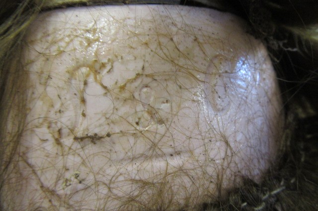 A Franz Schmidt & Co. bisque socket head doll with brown glass sleeping eyes Image