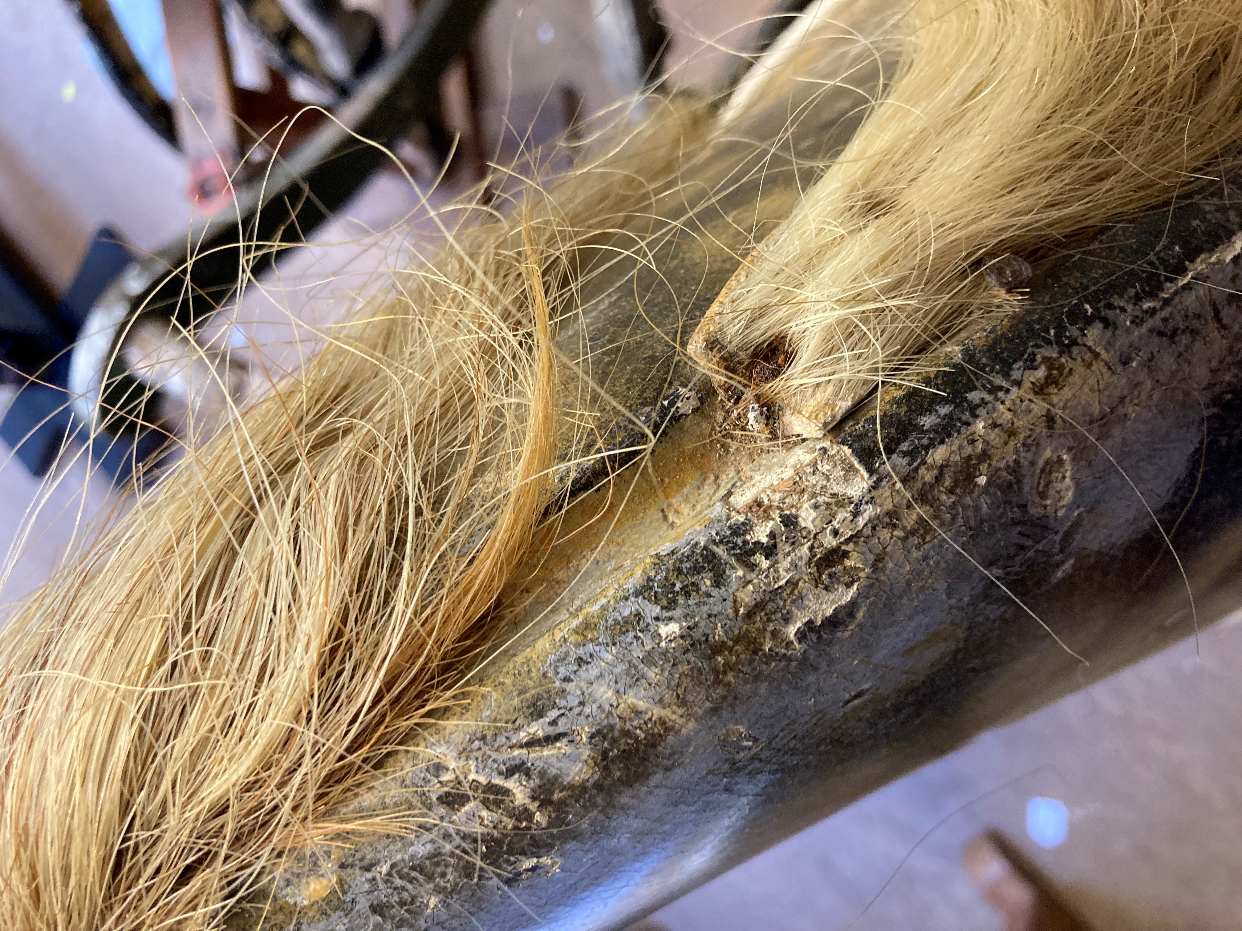 A rocking horse Image