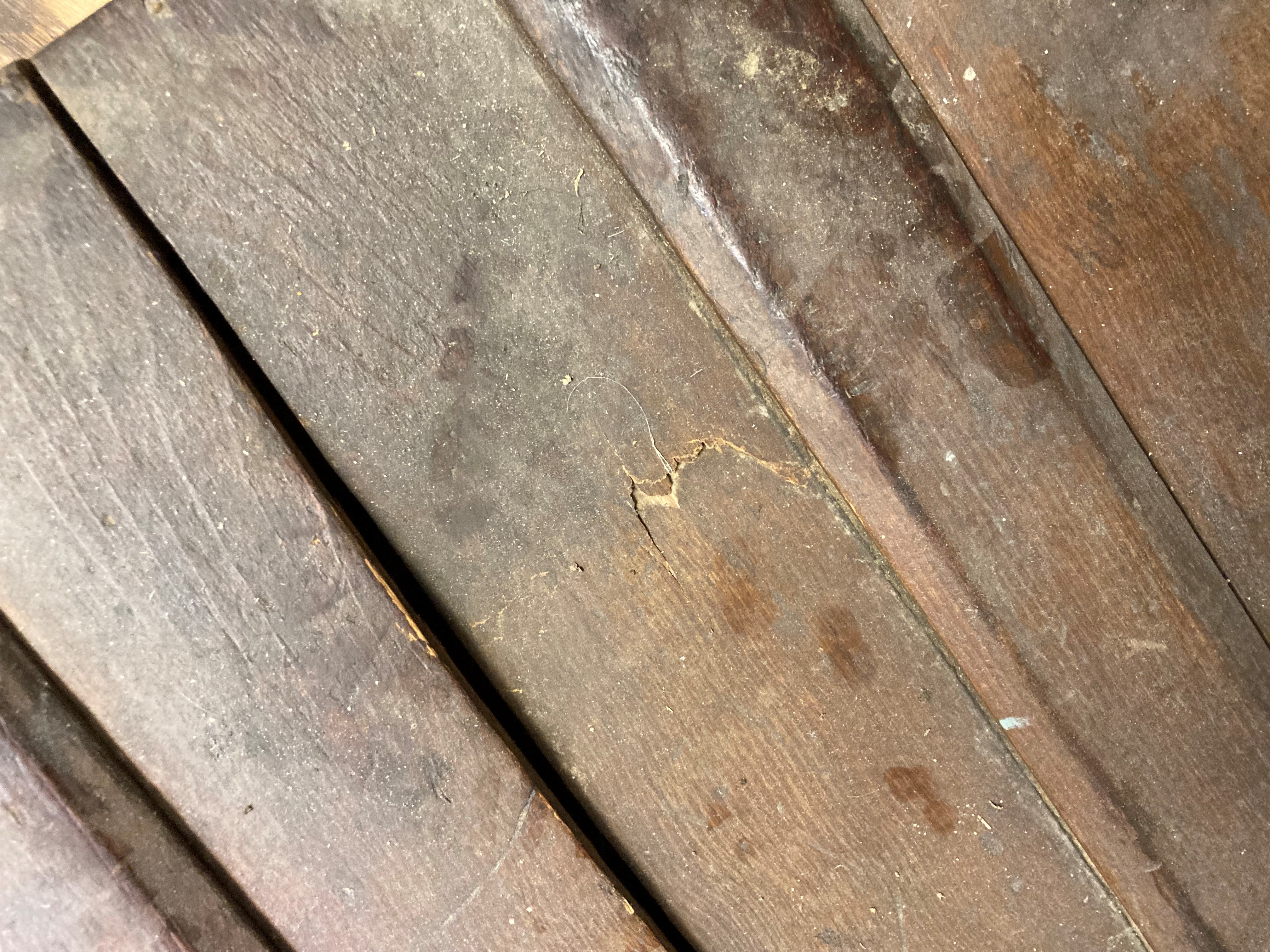 A rocking horse Image