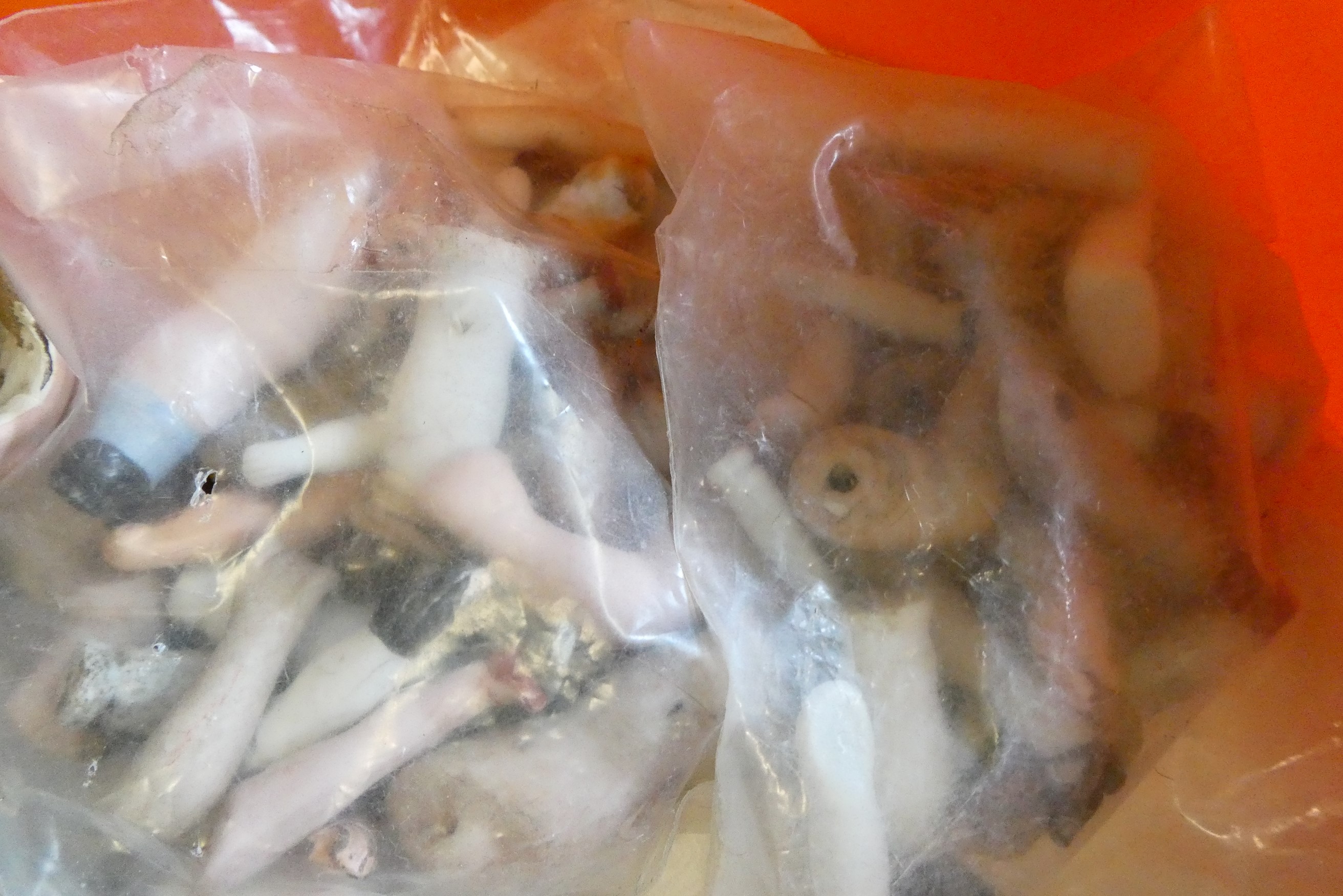 Approximately 40 antique doll's house doll heads and body parts (Est. plus 24% premium inc. VAT) Image