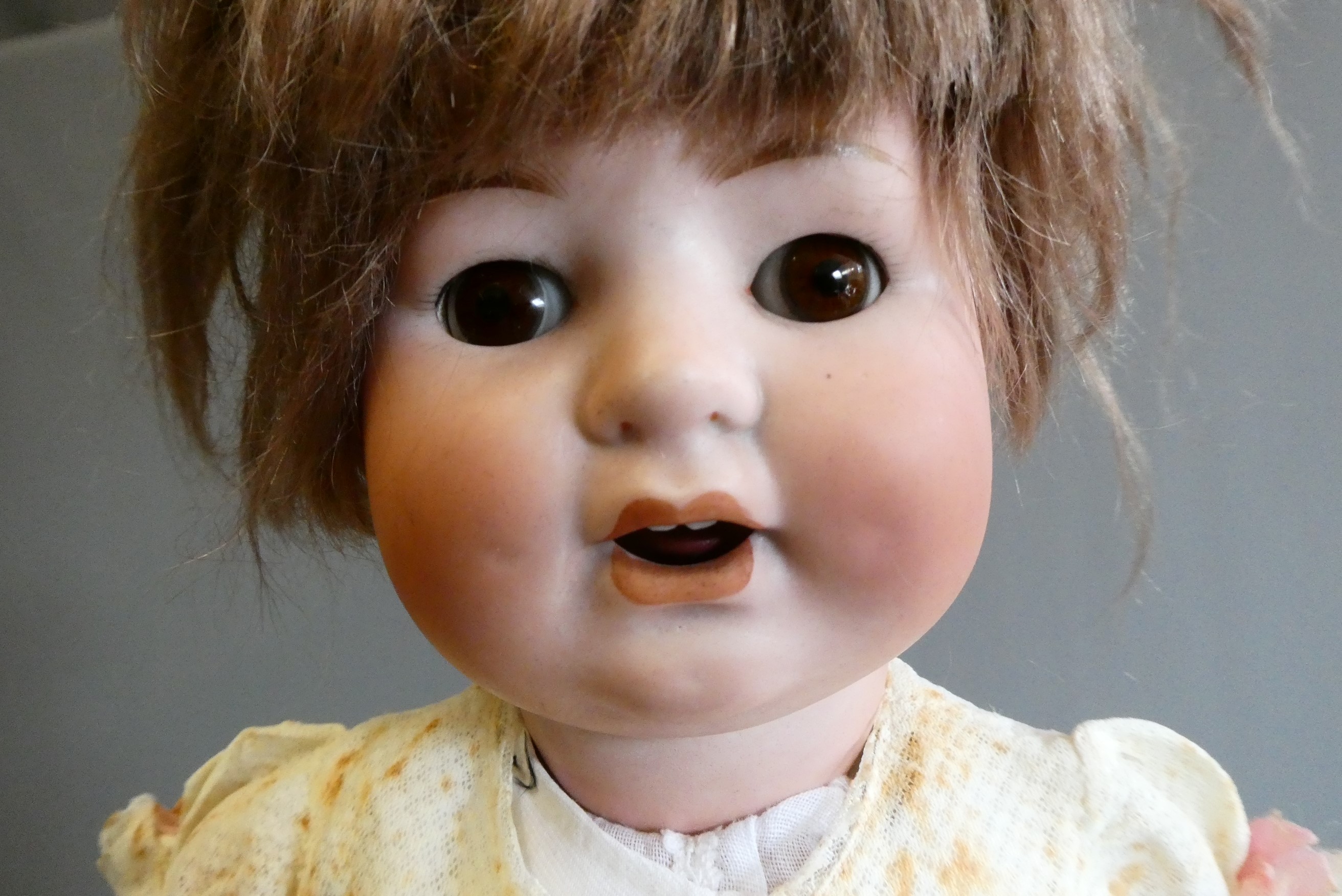 A C. M. Bergmann bisque head character doll Image