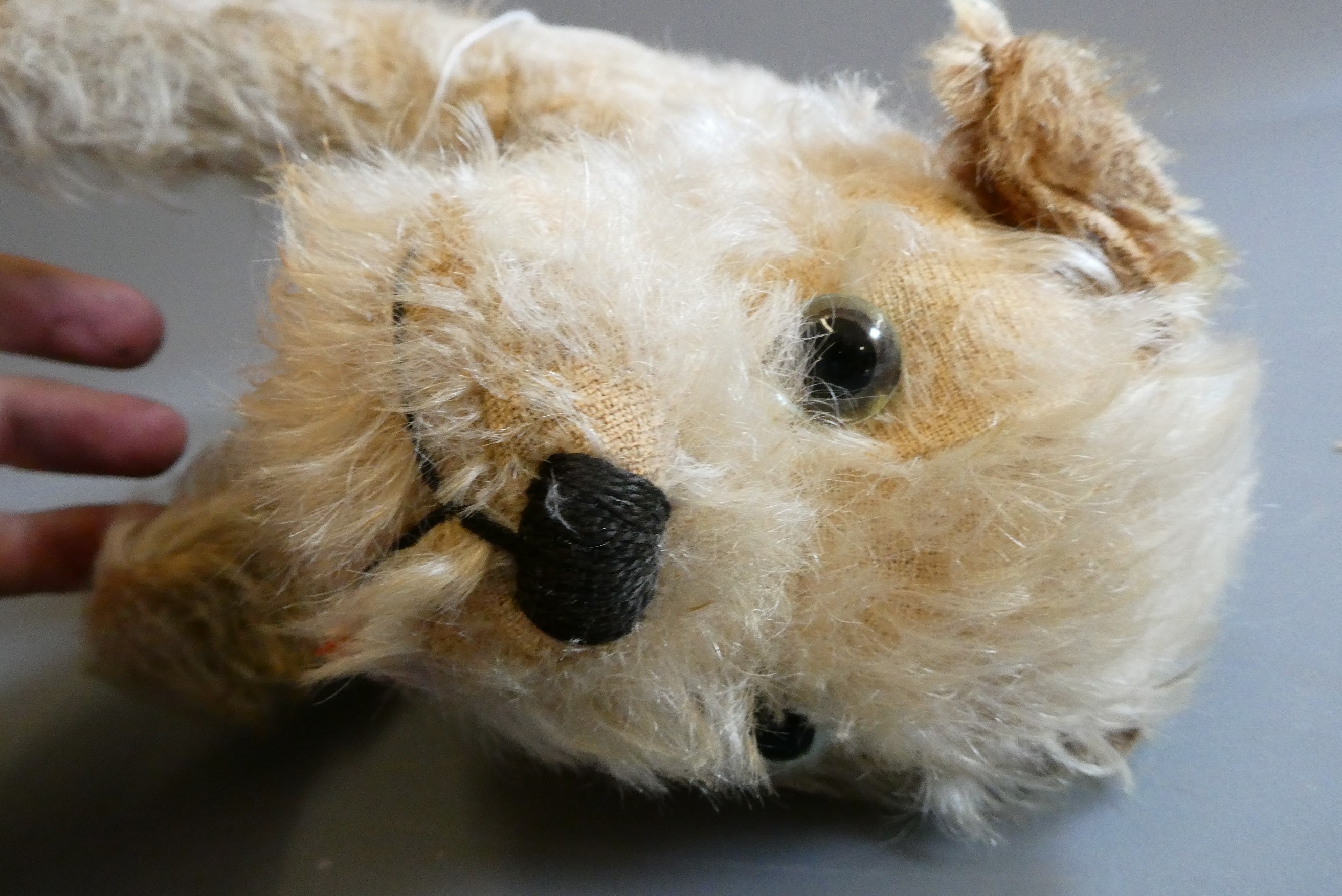 Farnell Alpha Toy dog, with clear glass eyes, sewn nose, felt tongue and maker's label, 11 1/2" long Image