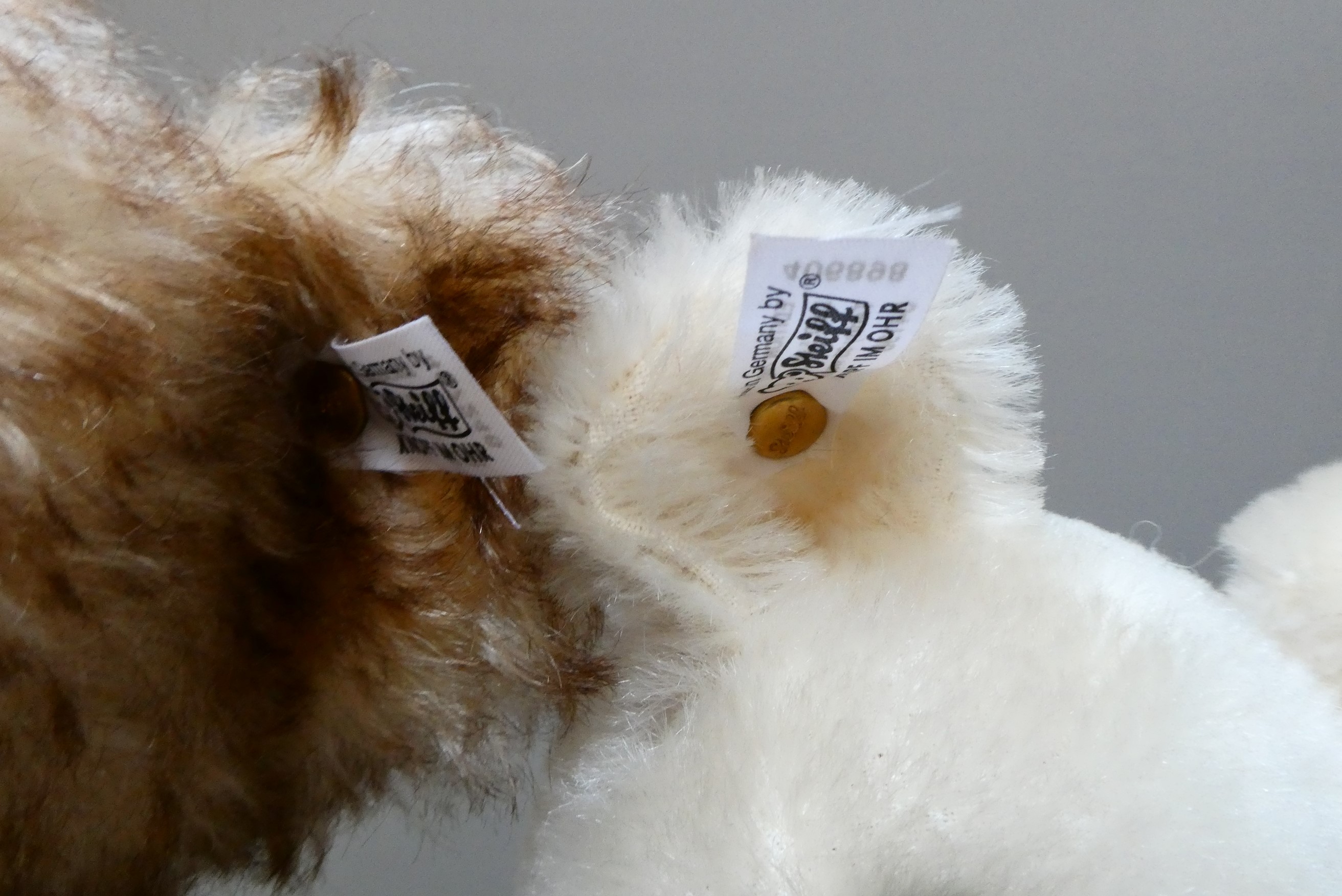 Two Steiff collectors bears, comprising a 1926 replica teddy bear, 16 1/2" long, and a white 1922 Image
