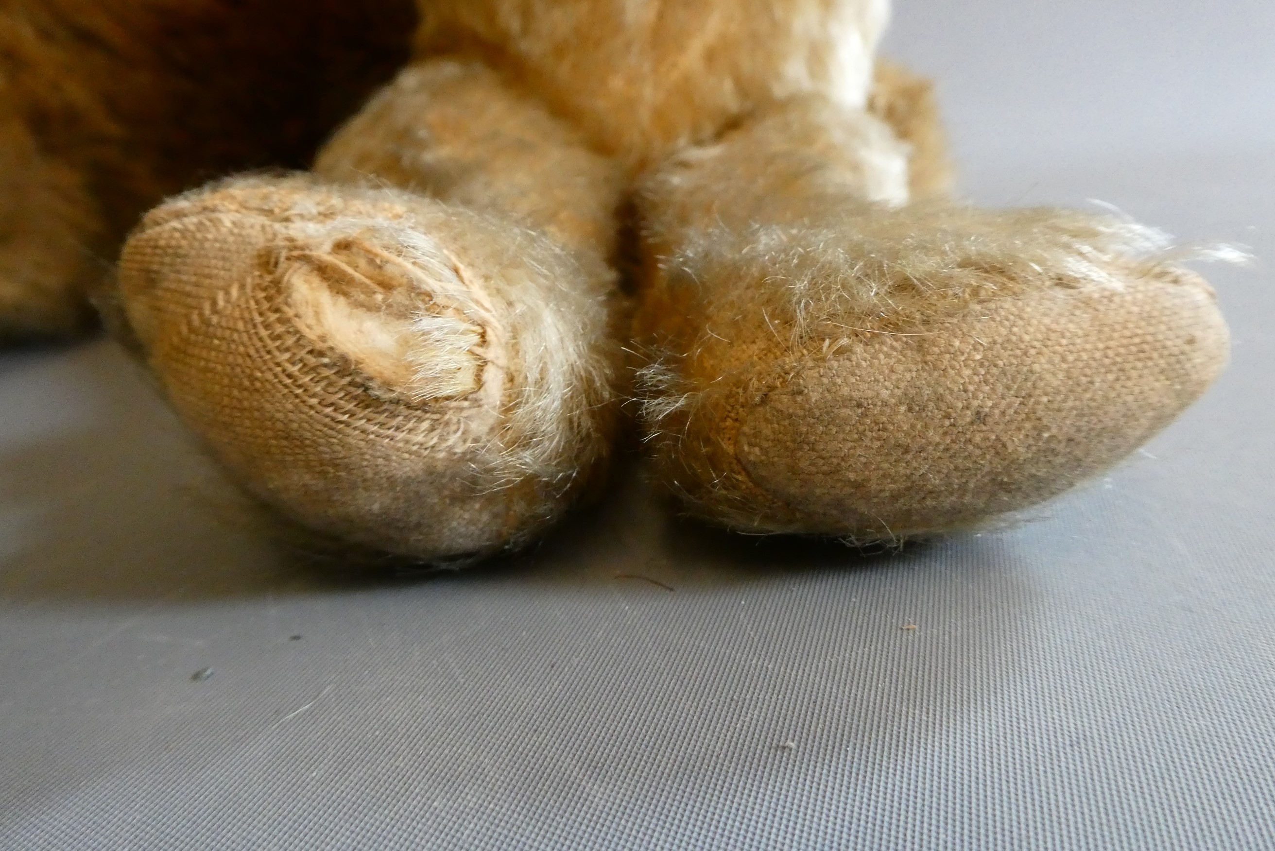 Two teddy bears, comprising an old 12" English bear, with clear glass eyes, sewn nose and light Image
