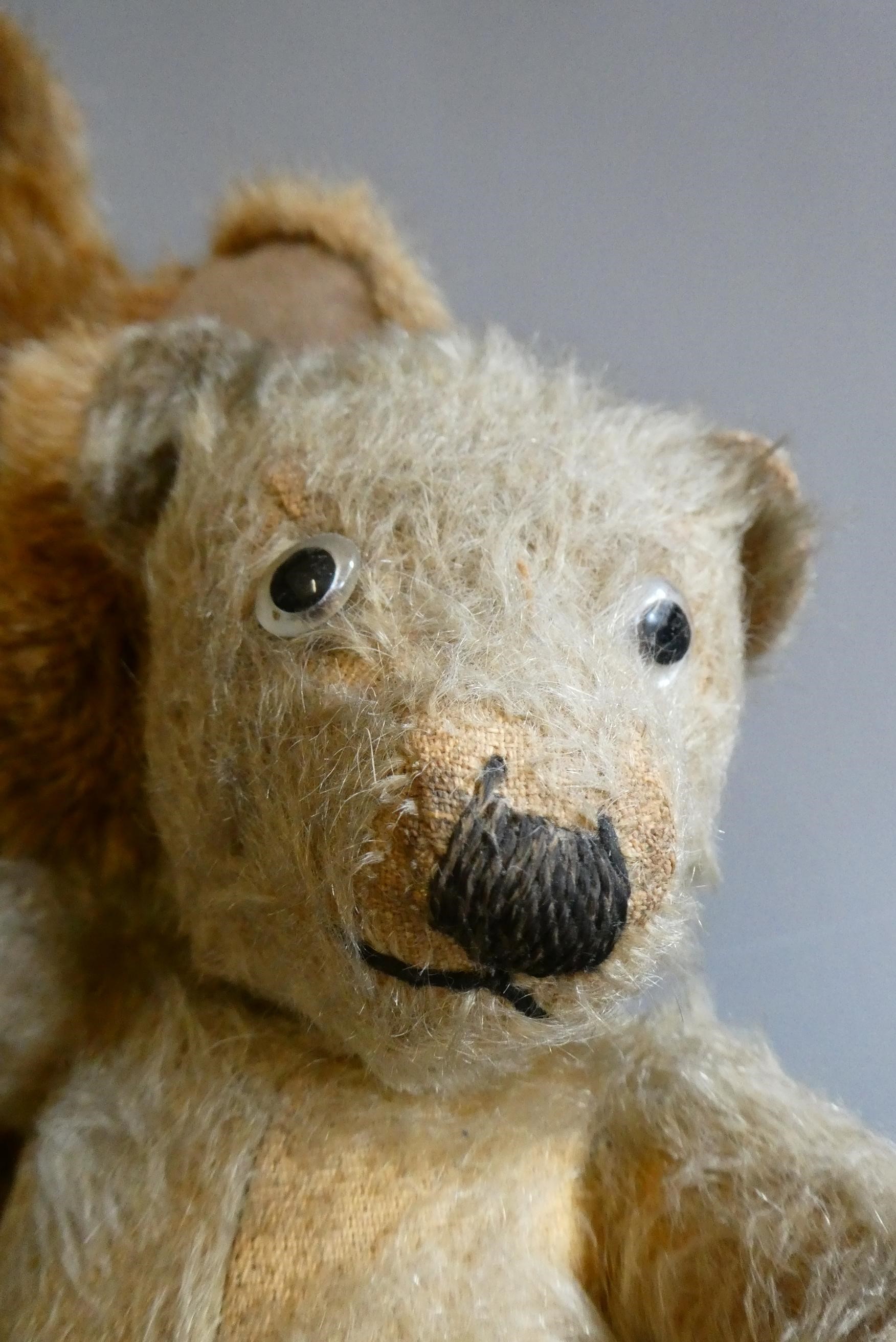 Two teddy bears, comprising an old 12" English bear, with clear glass eyes, sewn nose and light Image