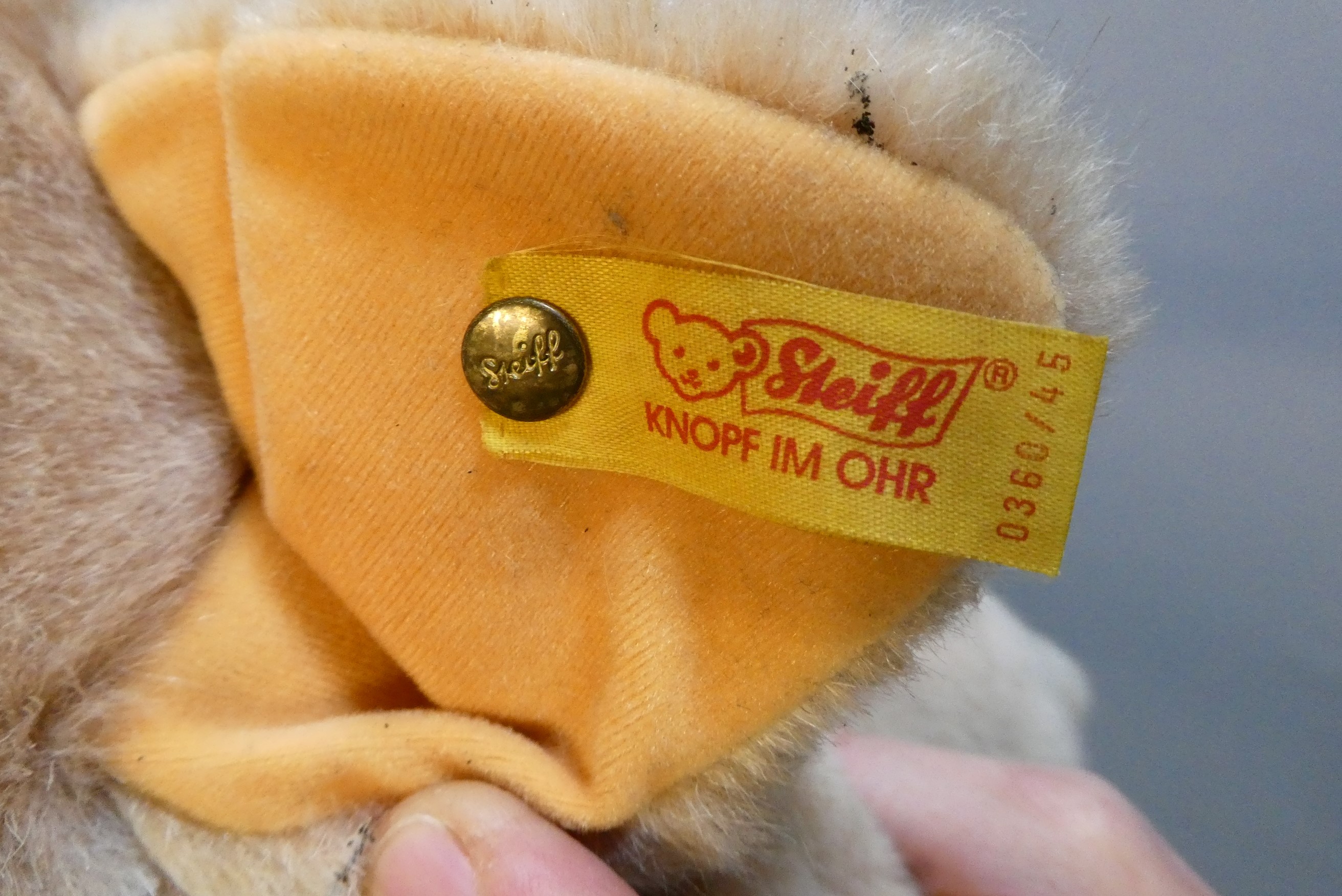 A vintage Steiff Molly Schwein/pig, with ear button, fabric label and cardboard labels, 22" long Image