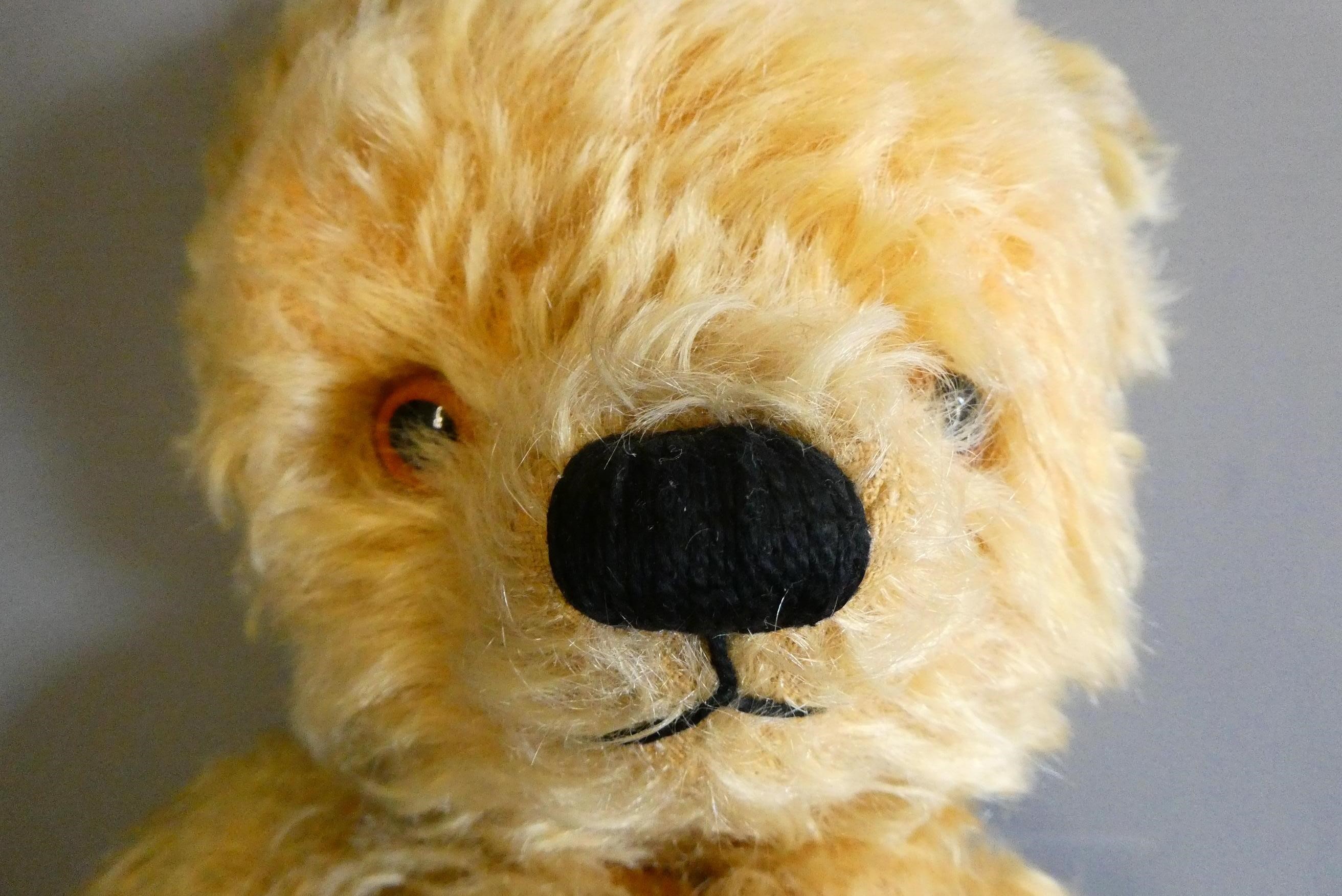 A vintage English teddy bear, with amber glass eyes, sewn nose, orange plush and fabric pads, 15" Image