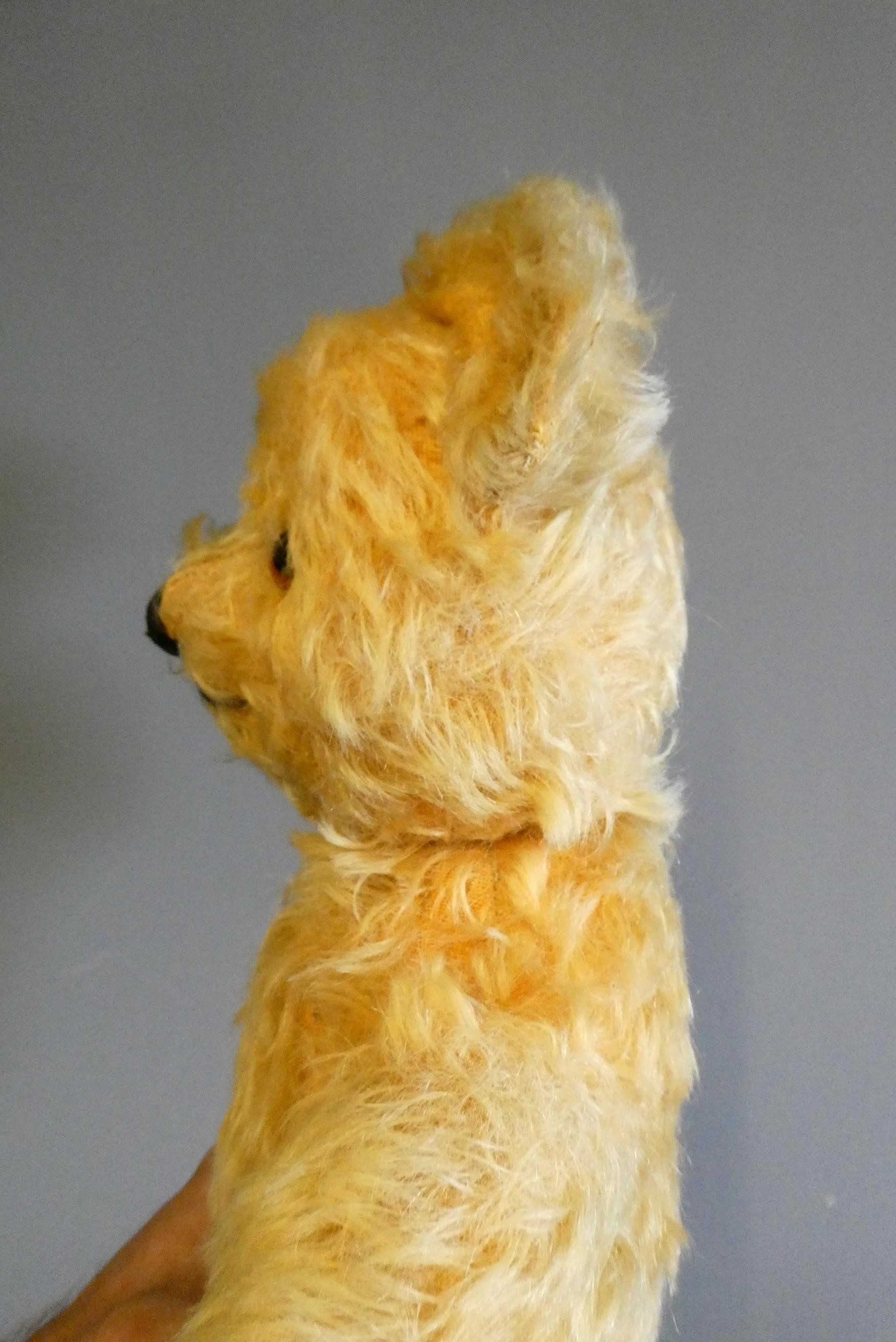 A vintage English teddy bear, with amber glass eyes, sewn nose, orange plush and fabric pads, 15" Image