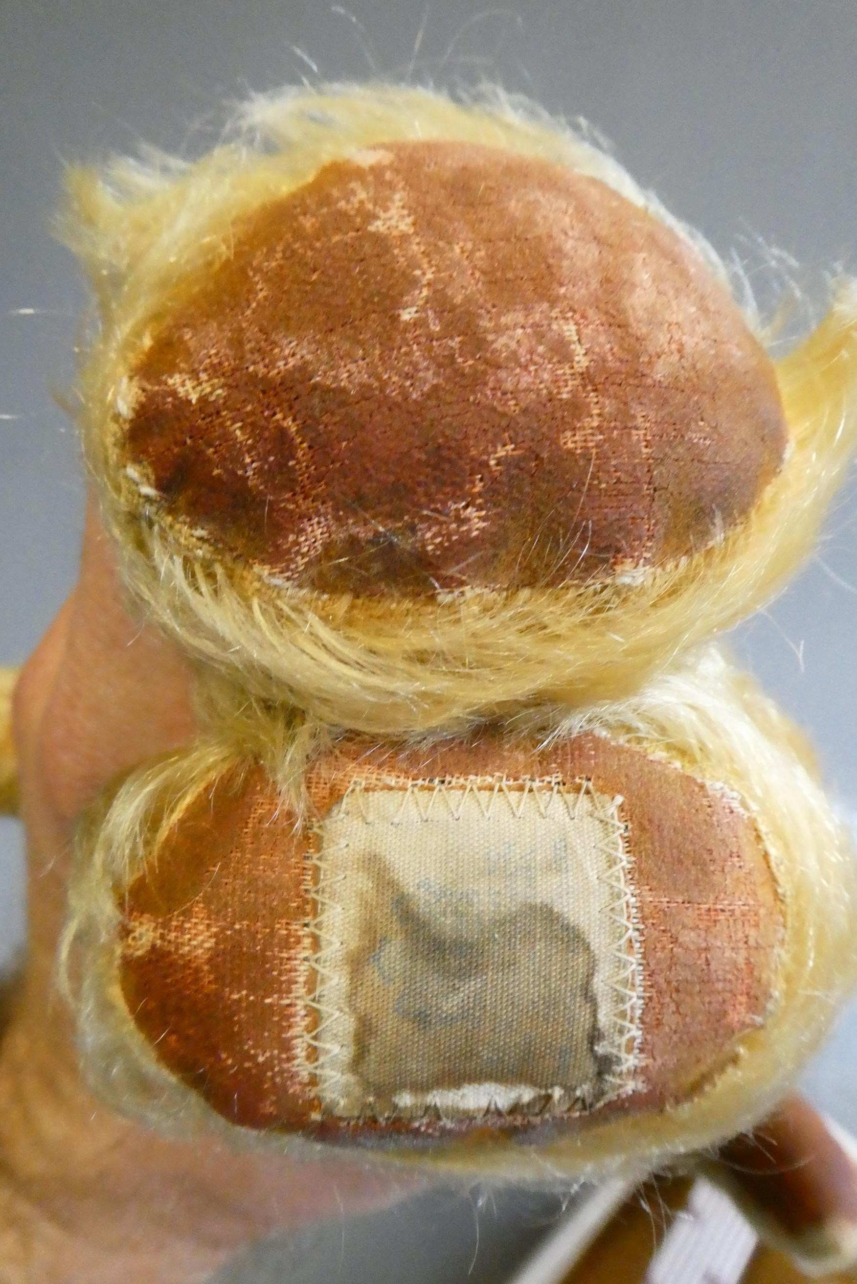 A vintage English teddy bear, with amber glass eyes, sewn nose, orange plush and fabric pads, 15" Image