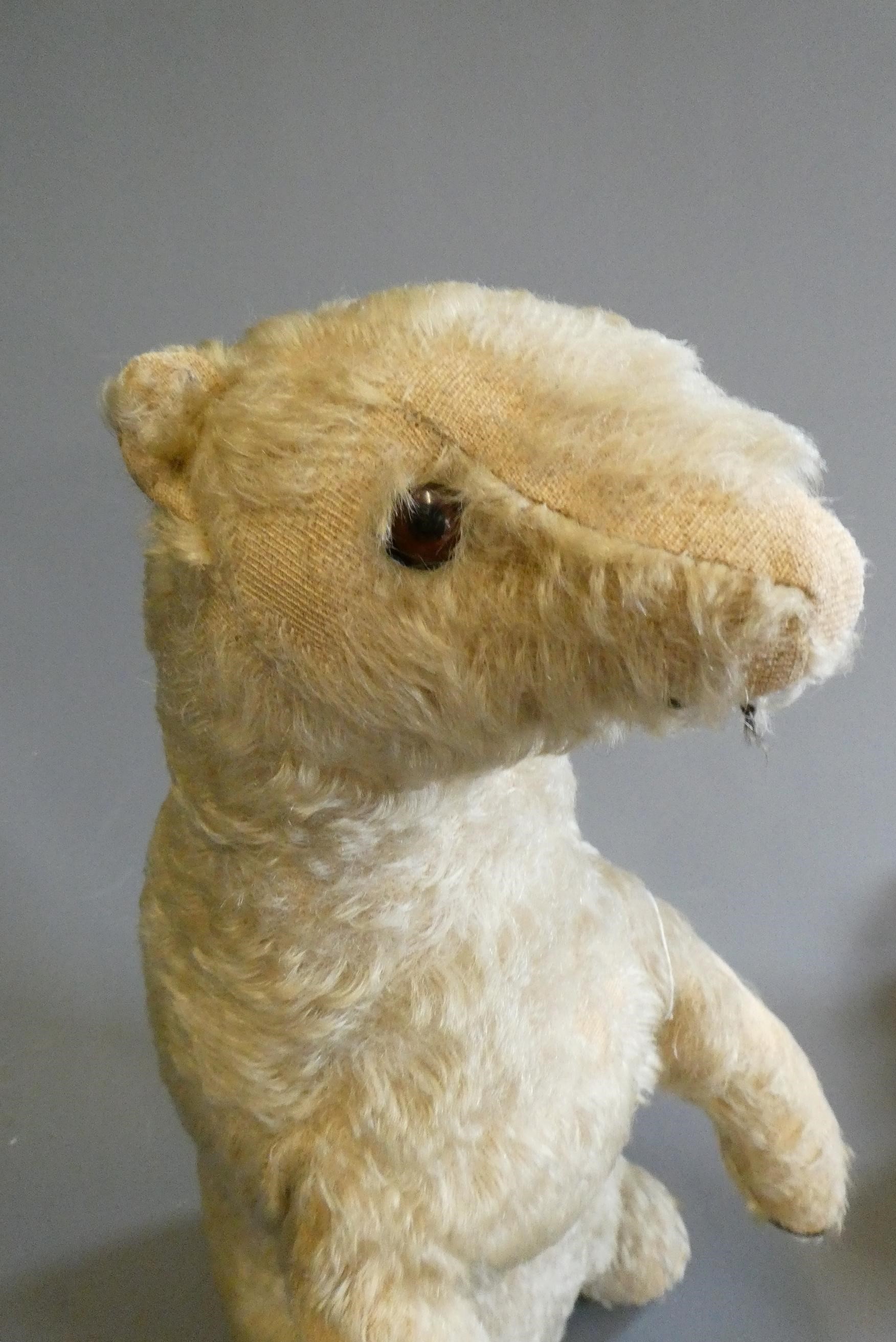 Two early 20th century plush bears Image