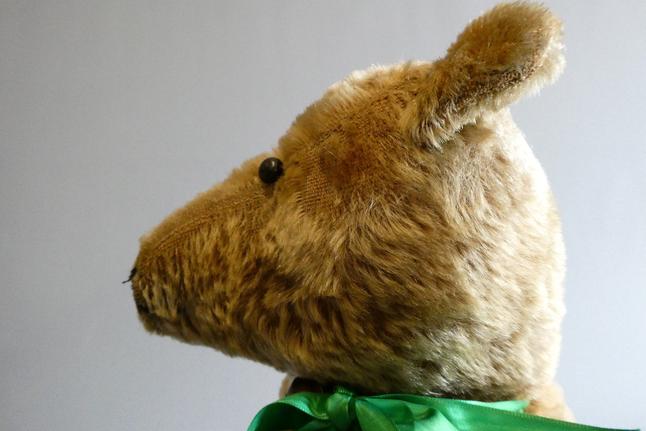 A pre-war shoe button eye teddy bear, with sewn nose, brown plush, bell to neck, jointed shoulders Image