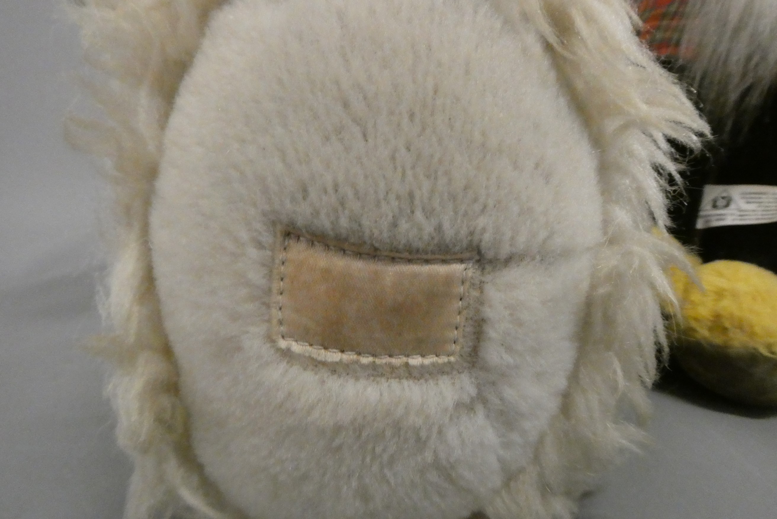 A large Wendy Boston teddy bear, with long white plush, sewn nose and amber eyes, 33 1/2" high, Image