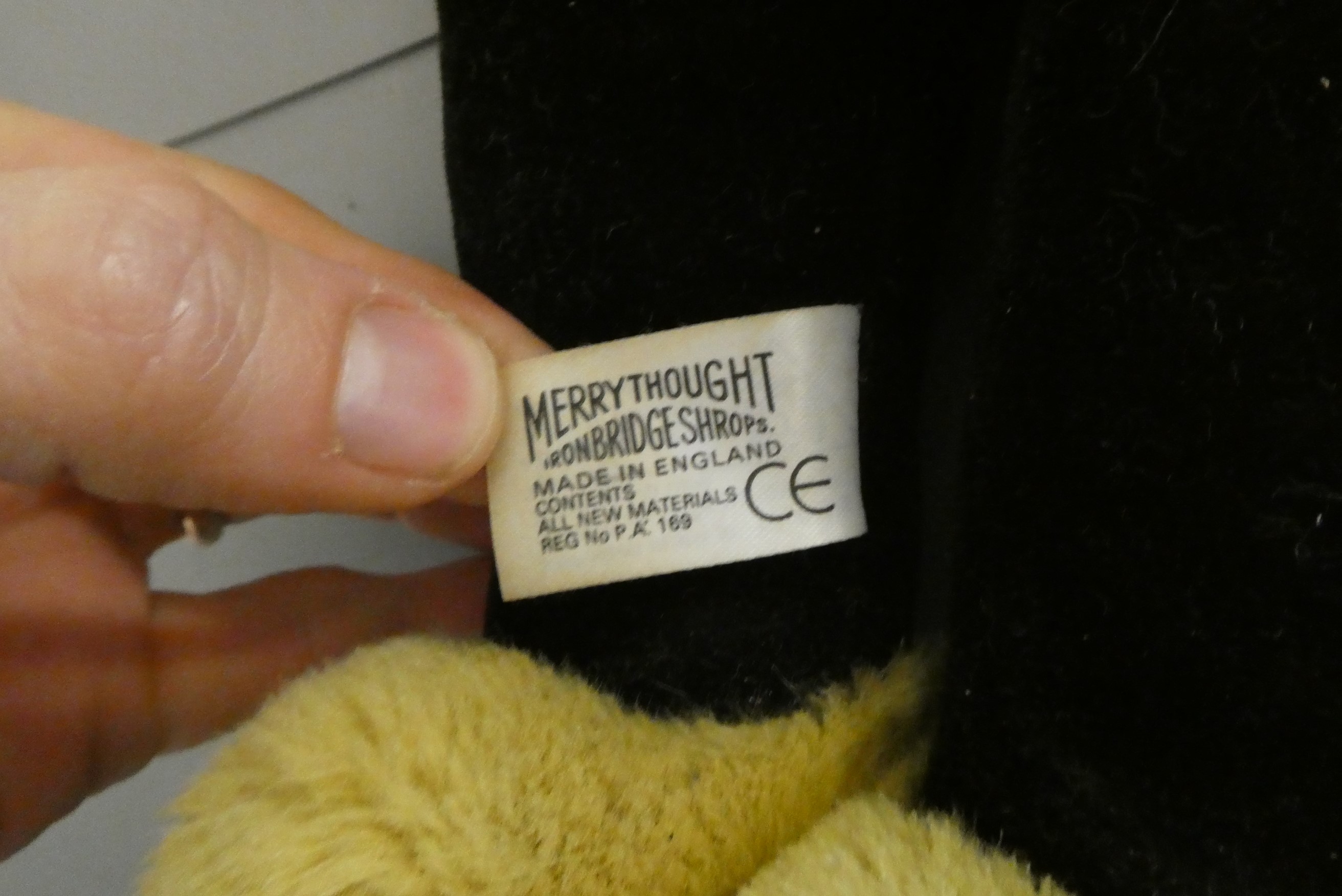 A large Wendy Boston teddy bear, with long white plush, sewn nose and amber eyes, 33 1/2" high, Image