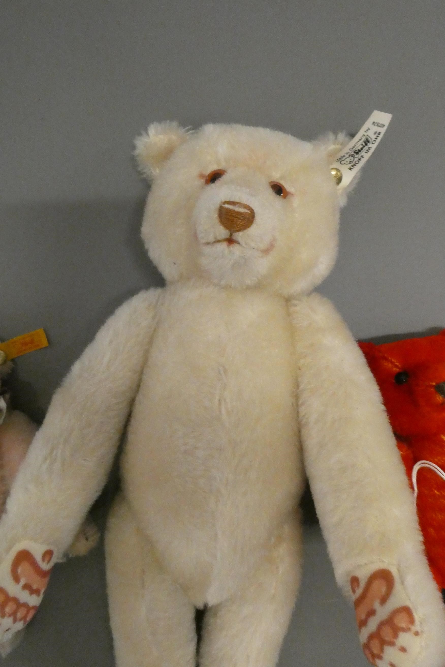 Three Steiff teddy bears, comprising a 12 1/2" white bear, a 6 3/4" red bear and a 7 3/4" teddy Image