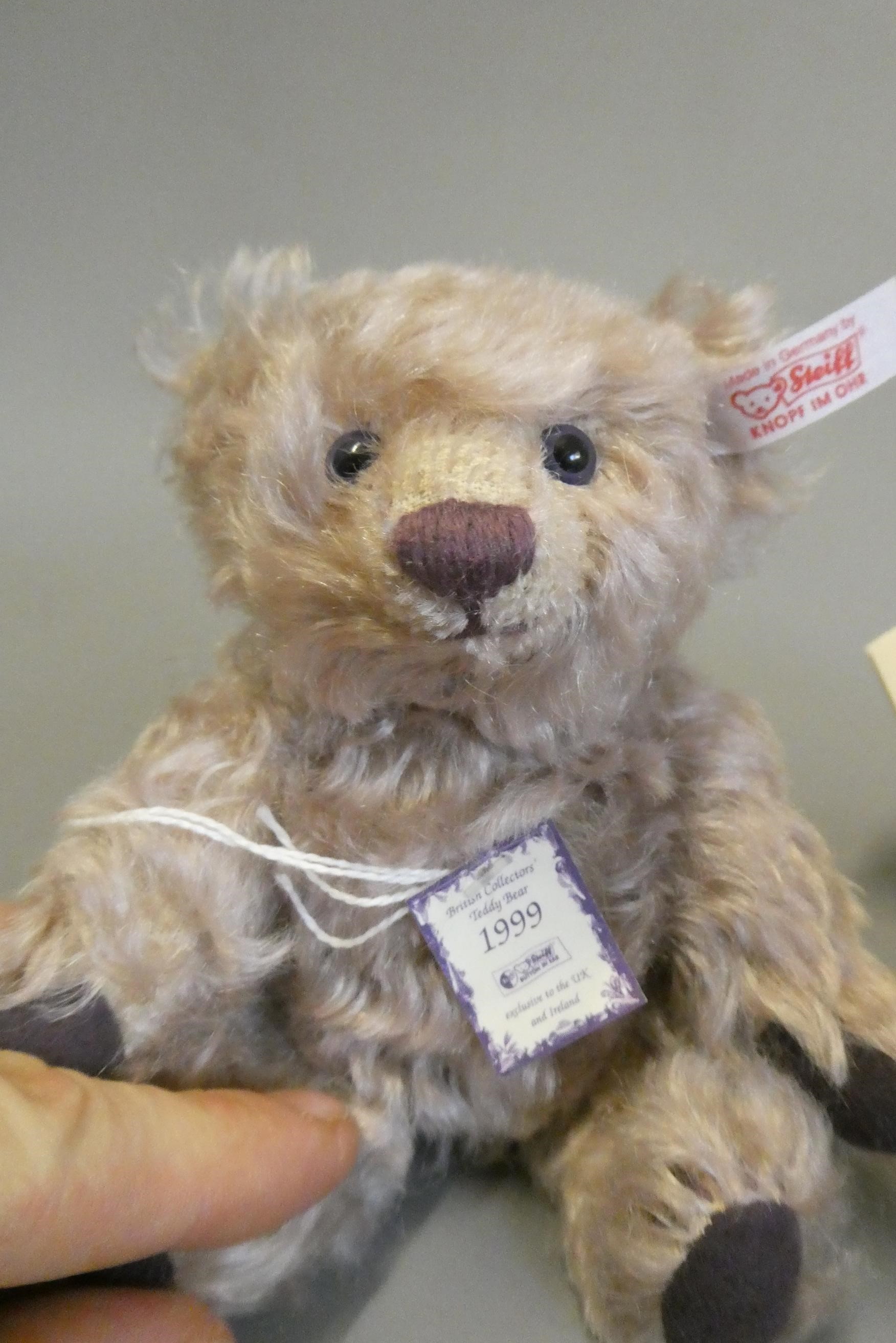 Steiff Sommer 2009 teddy bear Image