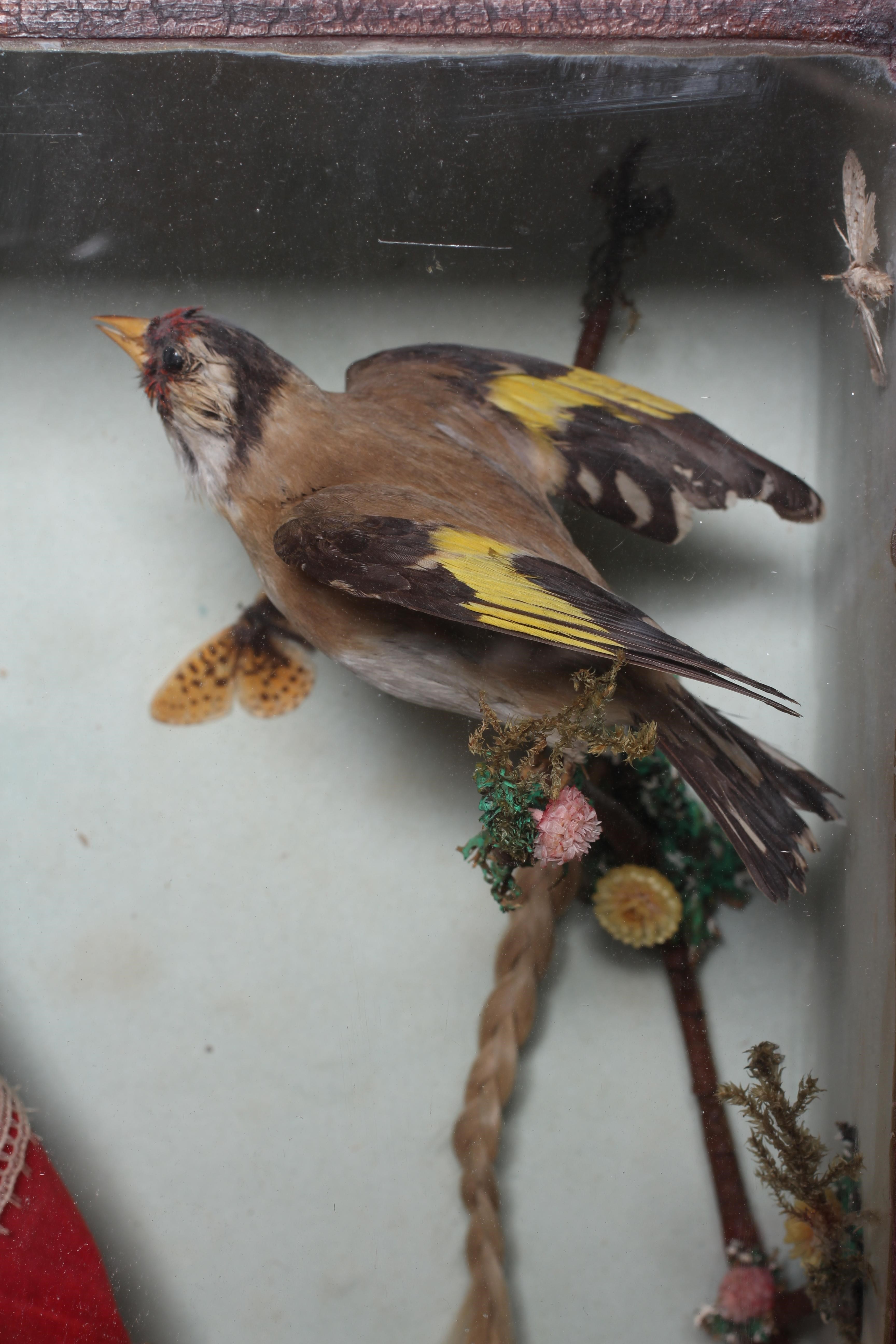 A wax head doll and taxidermy diorama Image