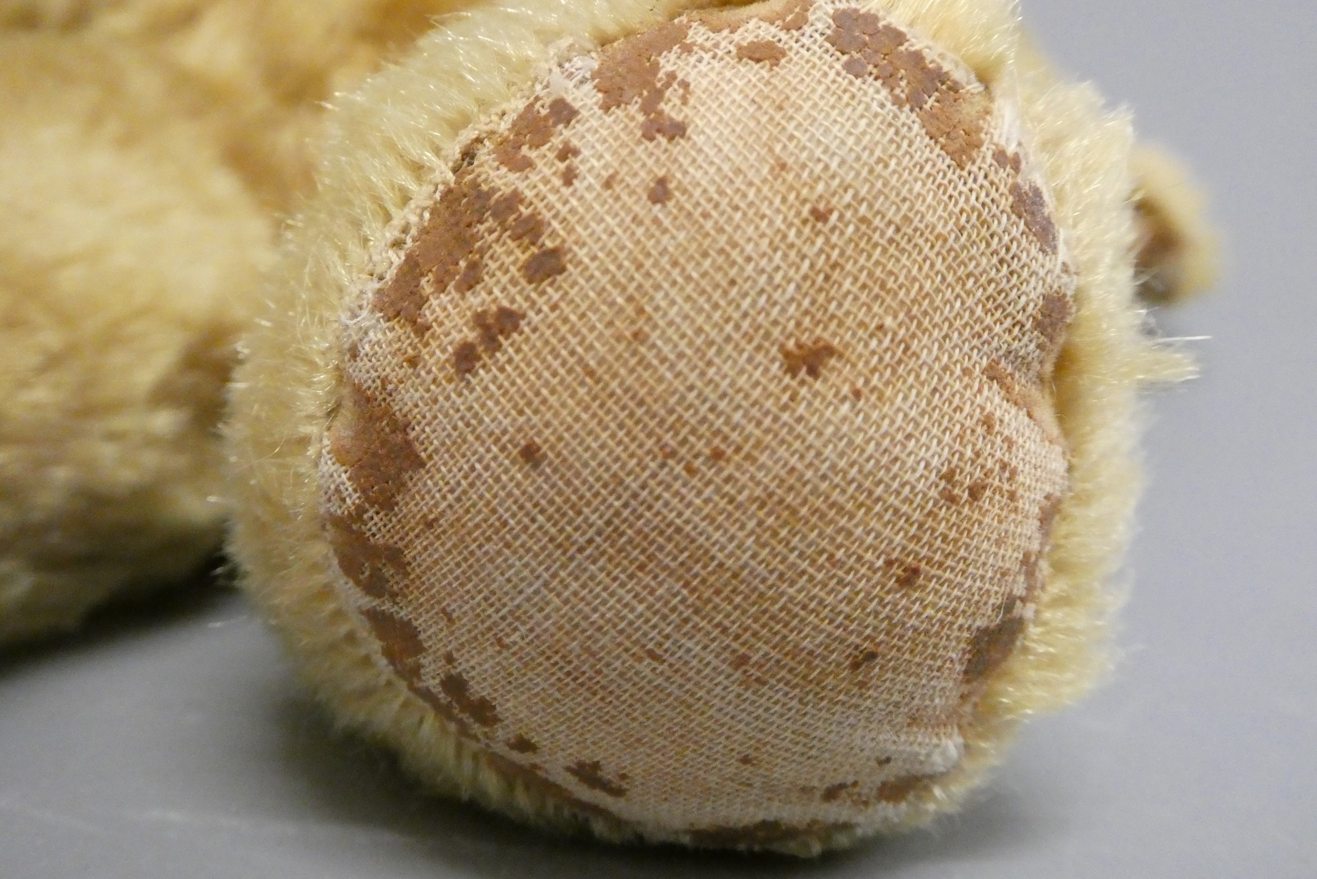 Twin Farnell teddy bears, with sewn noses, amber glass eyes, fabric pads and one with maker's label Image