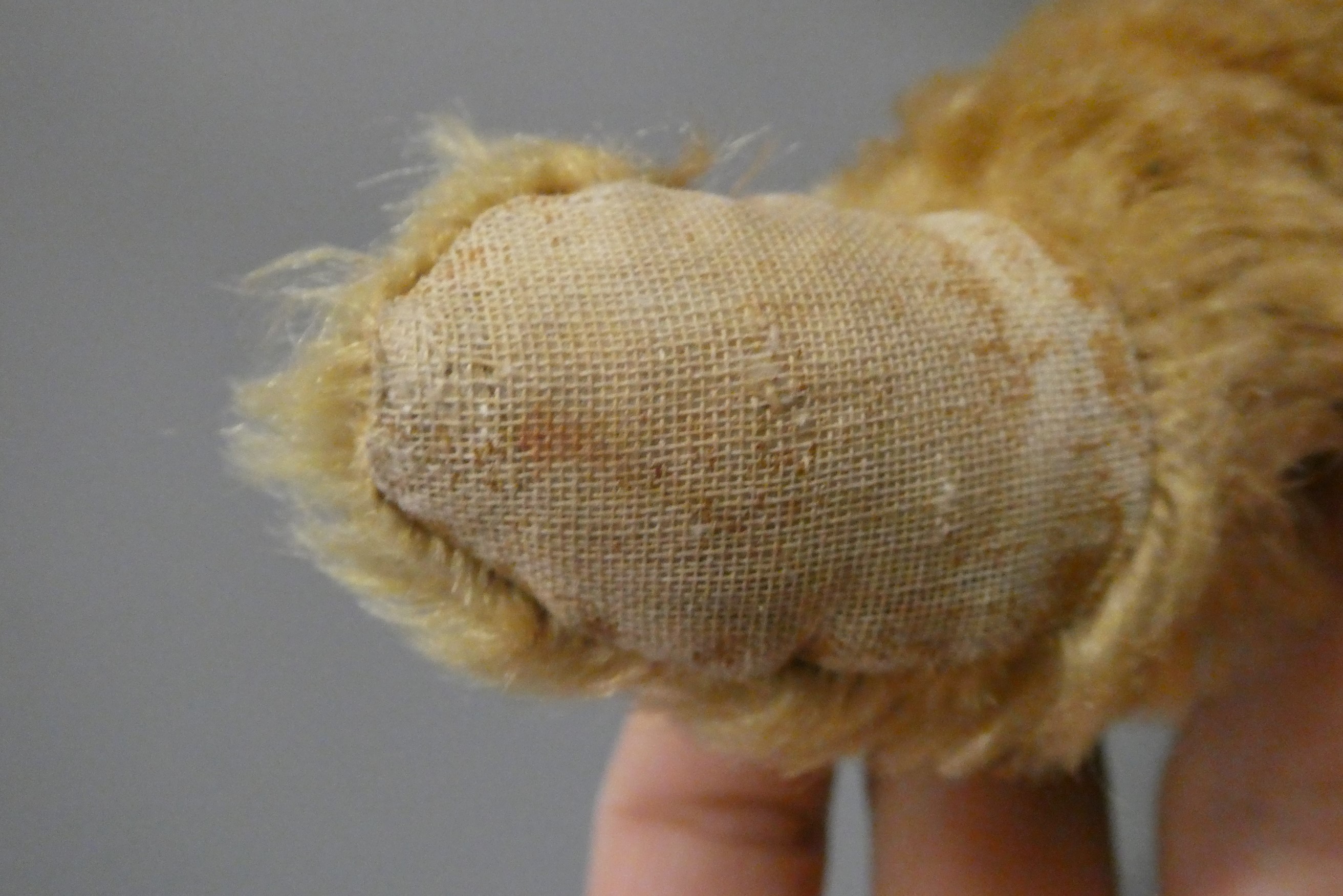 Twin Farnell teddy bears, with sewn noses, amber glass eyes, fabric pads and one with maker's label Image