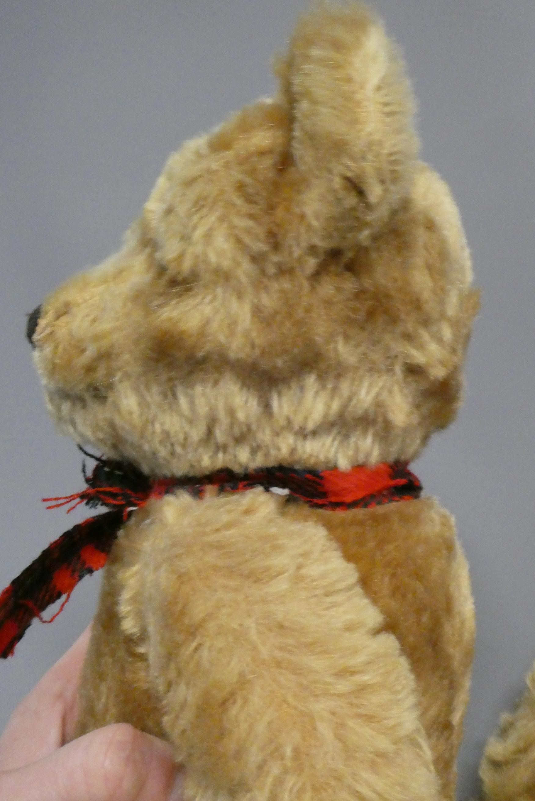Twin Farnell teddy bears, with sewn noses, amber glass eyes, fabric pads and one with maker's label Image