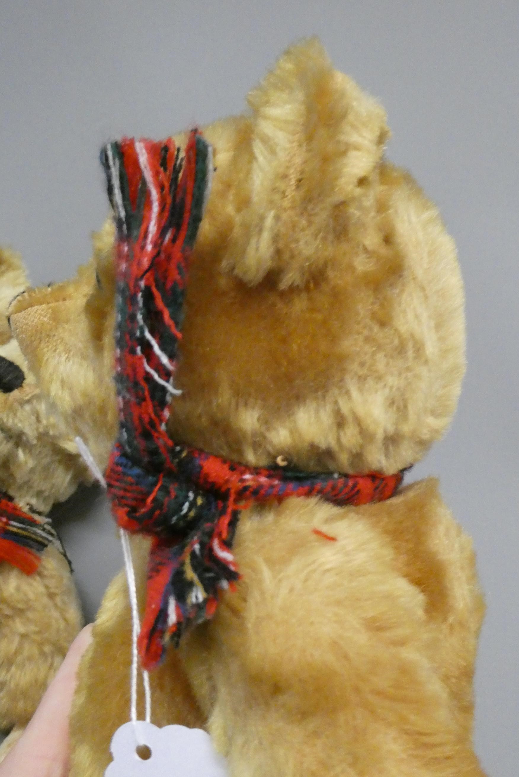 Twin Farnell teddy bears, with sewn noses, amber glass eyes, fabric pads and one with maker's label Image