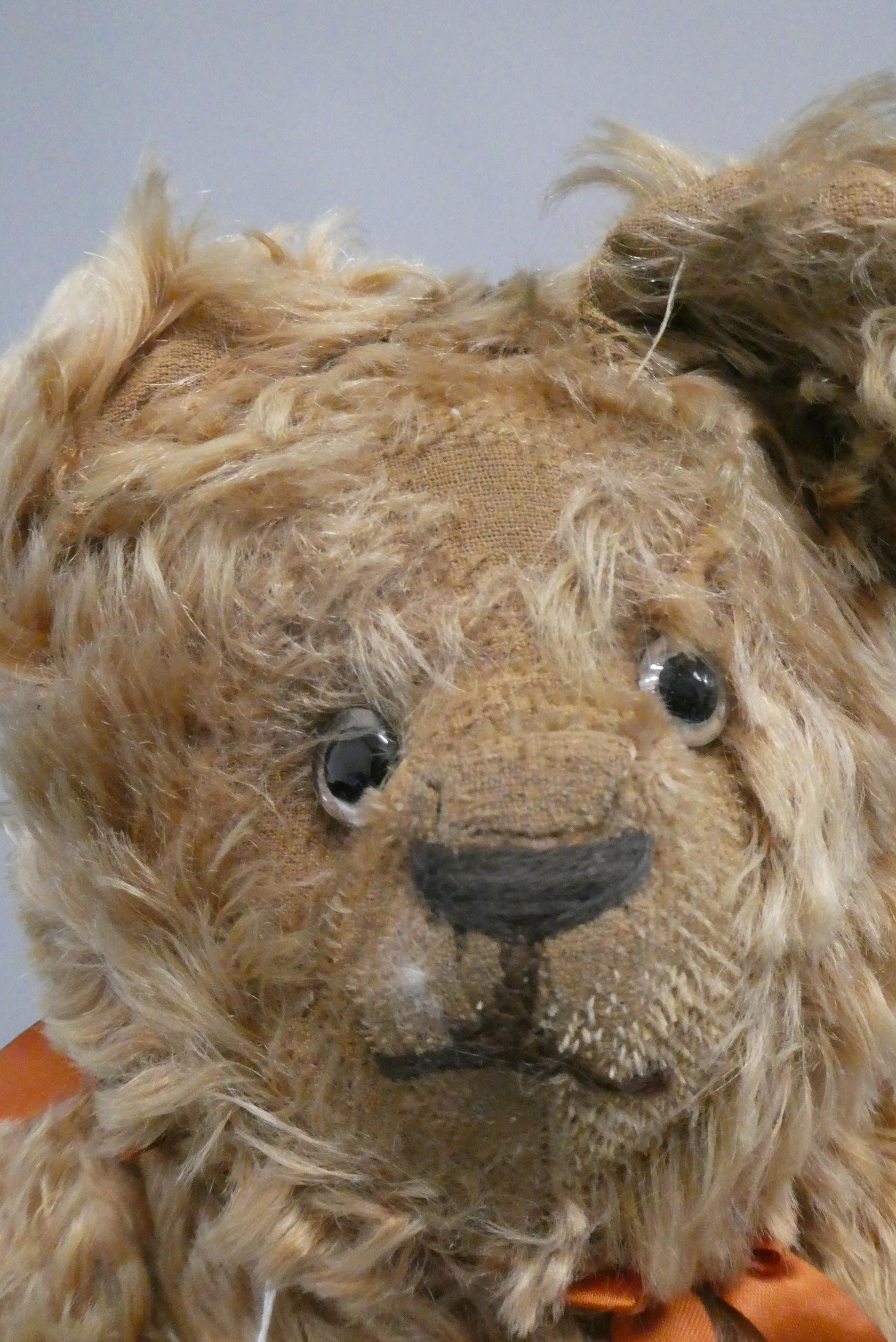 A pre-war cinnamon long haired teddy bear, with sewn nose, clear glass eyes ands felt pads, 19 1/2" Image
