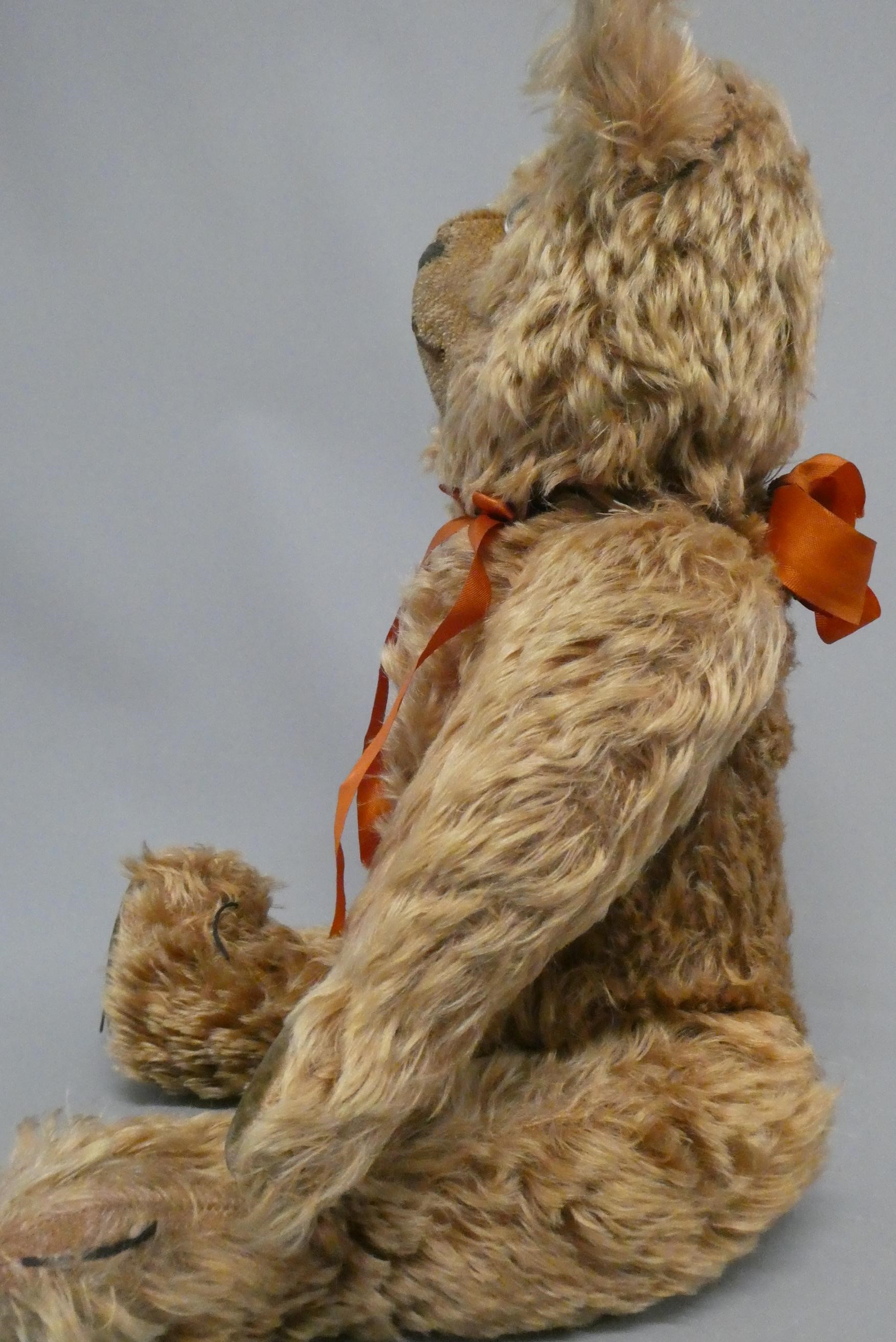 A pre-war cinnamon long haired teddy bear, with sewn nose, clear glass eyes ands felt pads, 19 1/2" Image