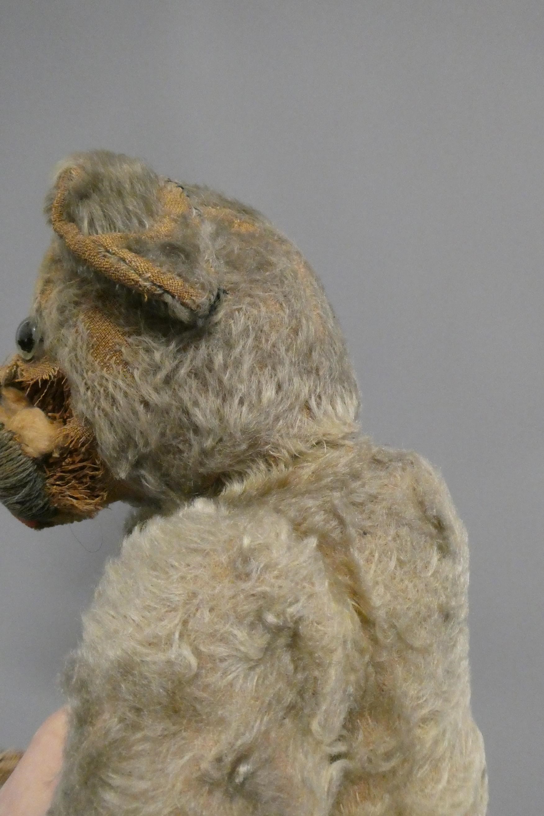 A pre-war teddy bear, with clear glass eyes, straw filling and hump back, 18" long (Est. plus 24% Image