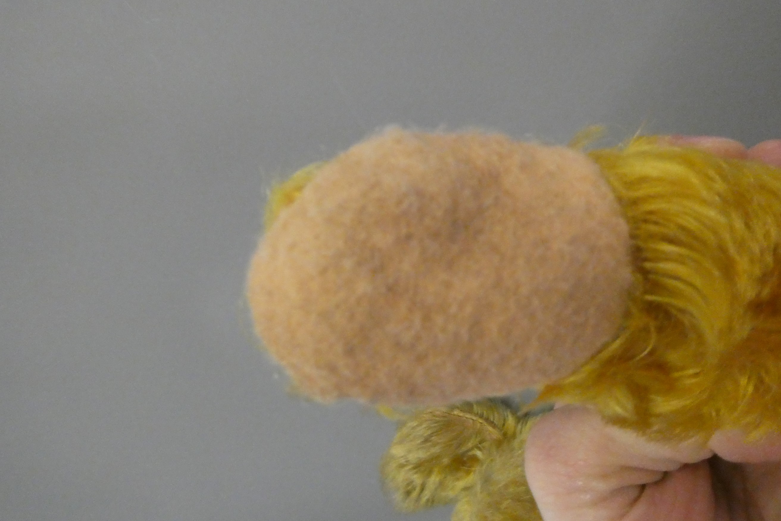 A pre-war teddy bear, with sewn nose, glass amber eyes, blond plush, pink felt pads and pink dress, Image