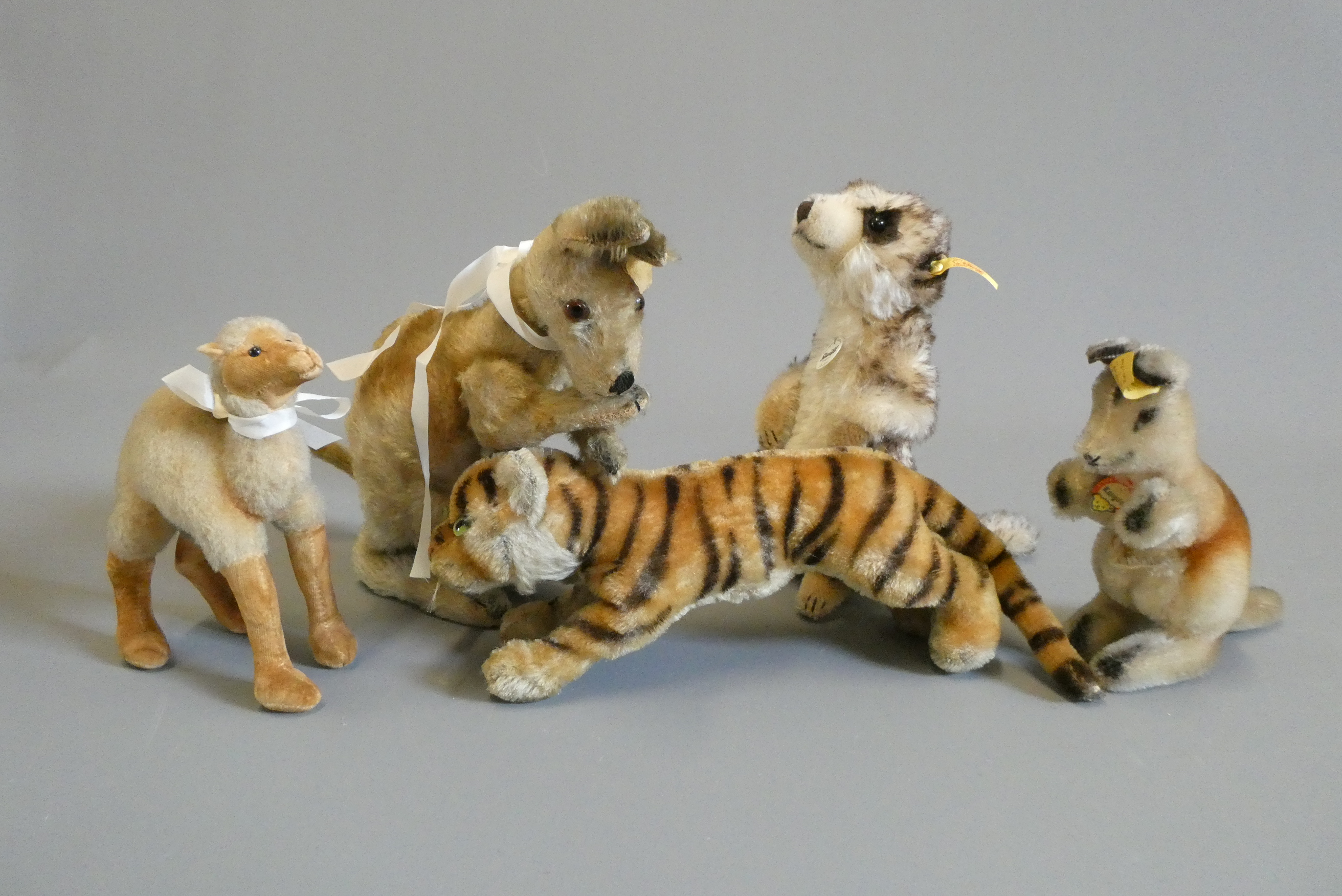 Five mostly Steiff animals, mostly vintage, including a tiger, a meercat, a camel and two kangeroos Image