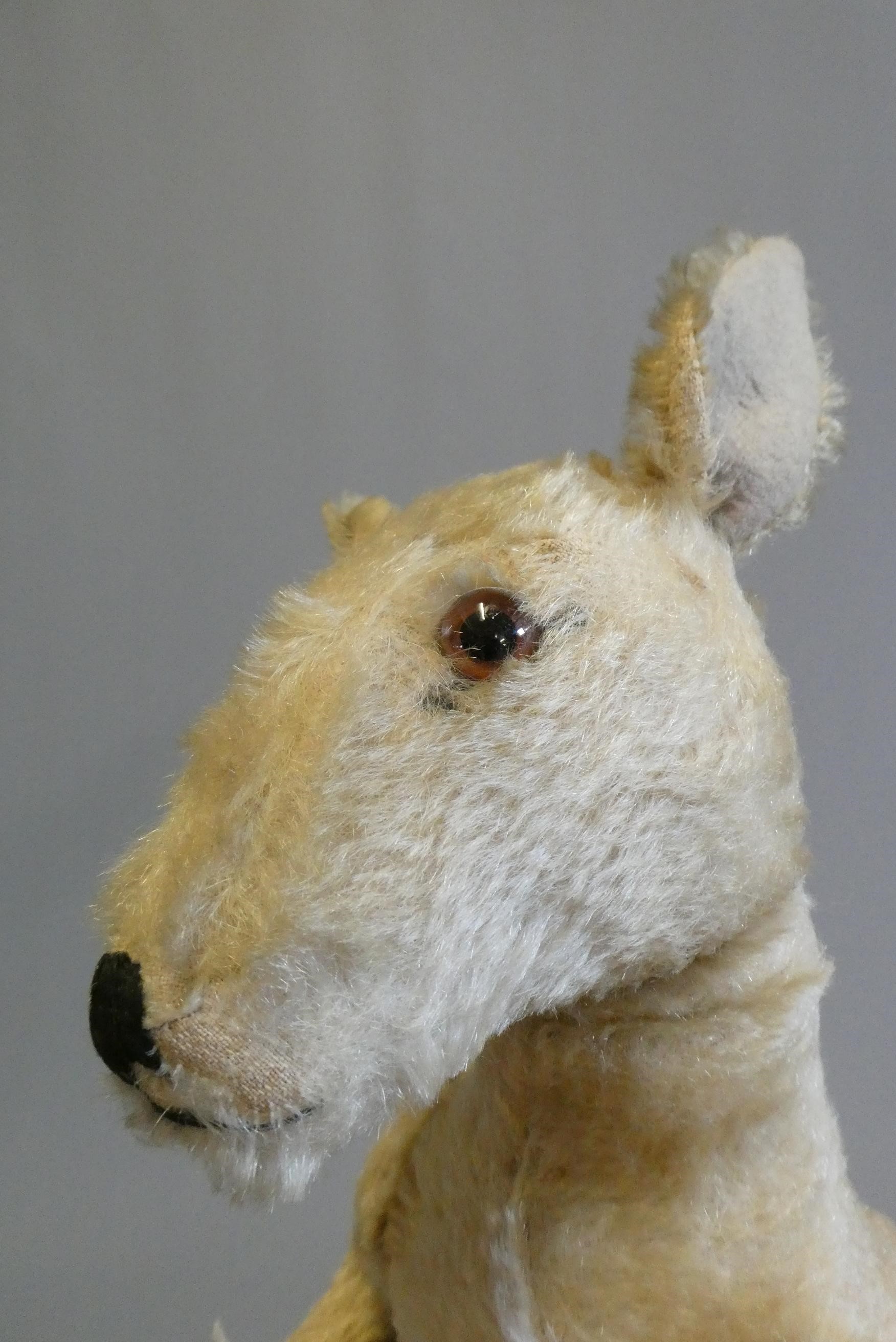 A large Steiff kangaroo with jointed neck and shoulders, no button (Est. plus 24% buyer's premium Image