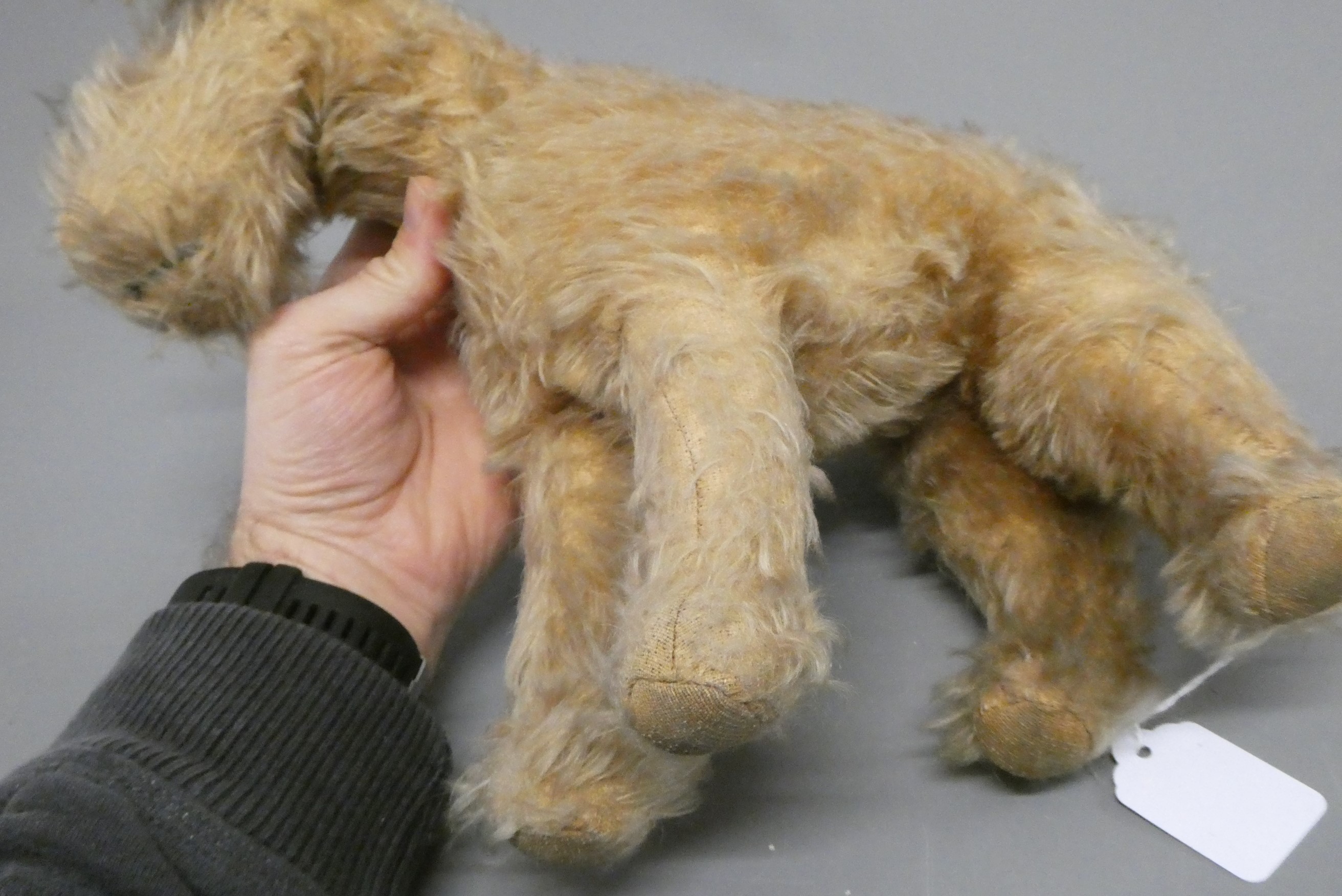 A vintage Chad Valley dog, with blond plush and amber eyes, 13" long (Est. plus 24% buyer's premium Image