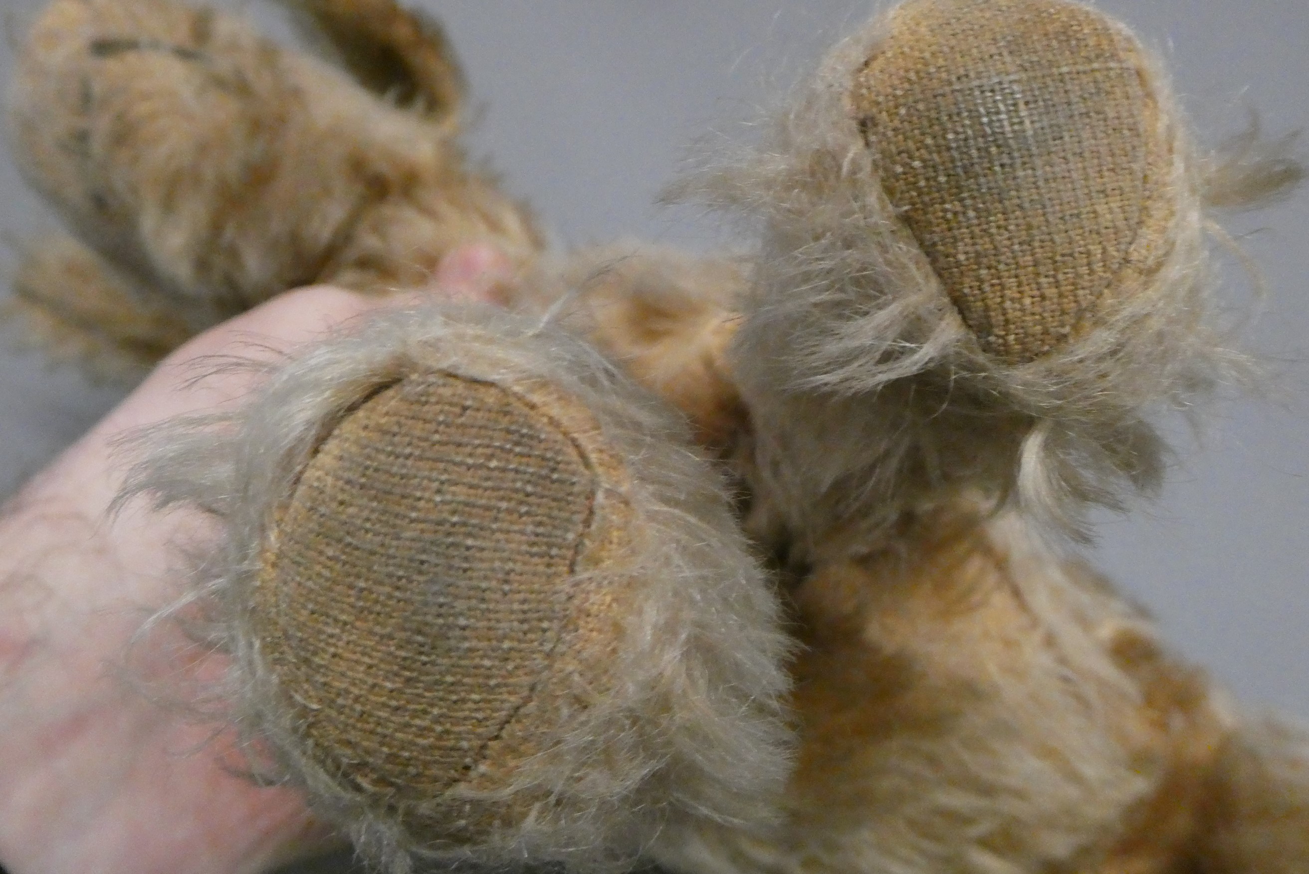 A vintage Chad Valley dog, with blond plush and amber eyes, 13" long (Est. plus 24% buyer's premium Image