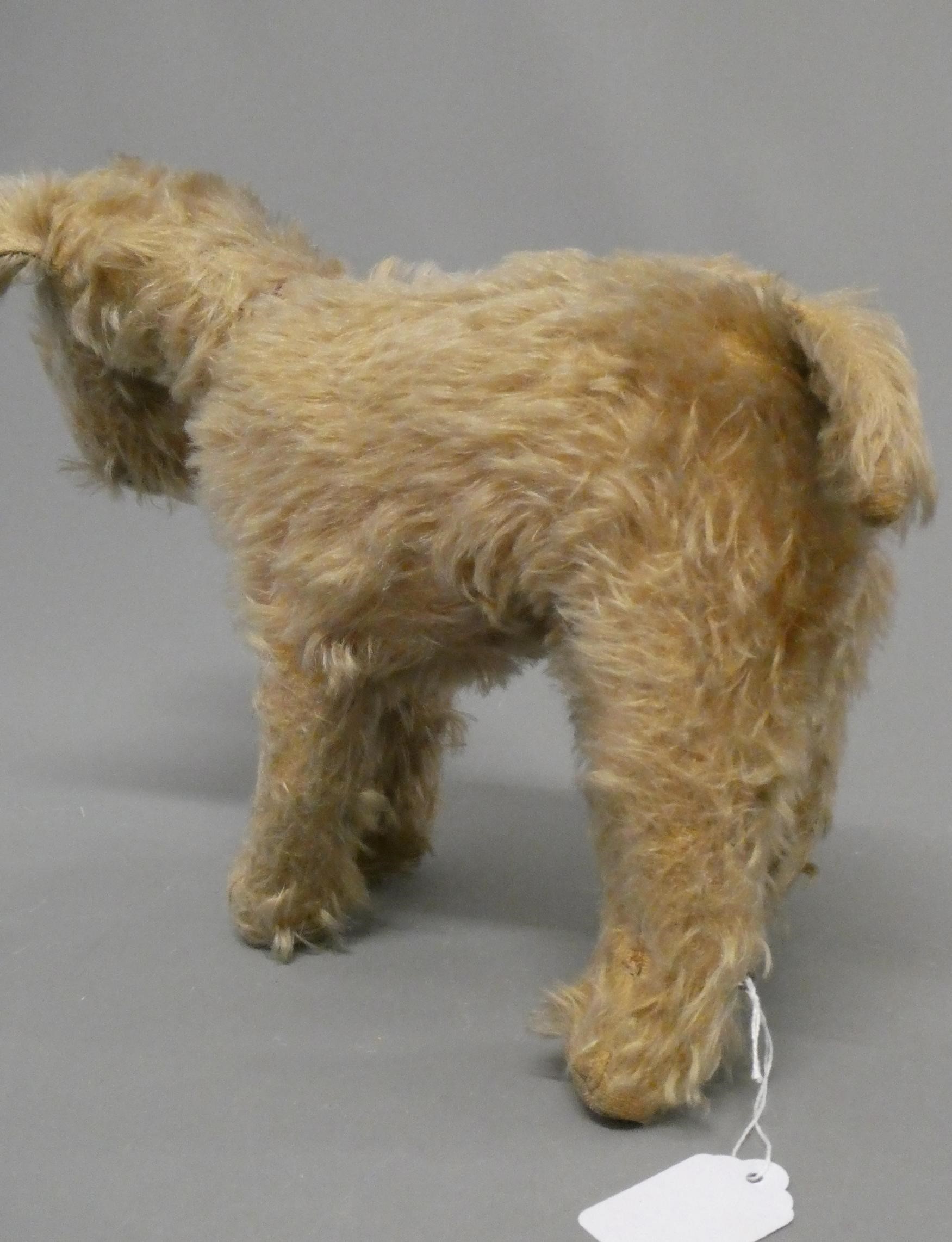 A vintage Chad Valley dog, with blond plush and amber eyes, 13" long (Est. plus 24% buyer's premium Image