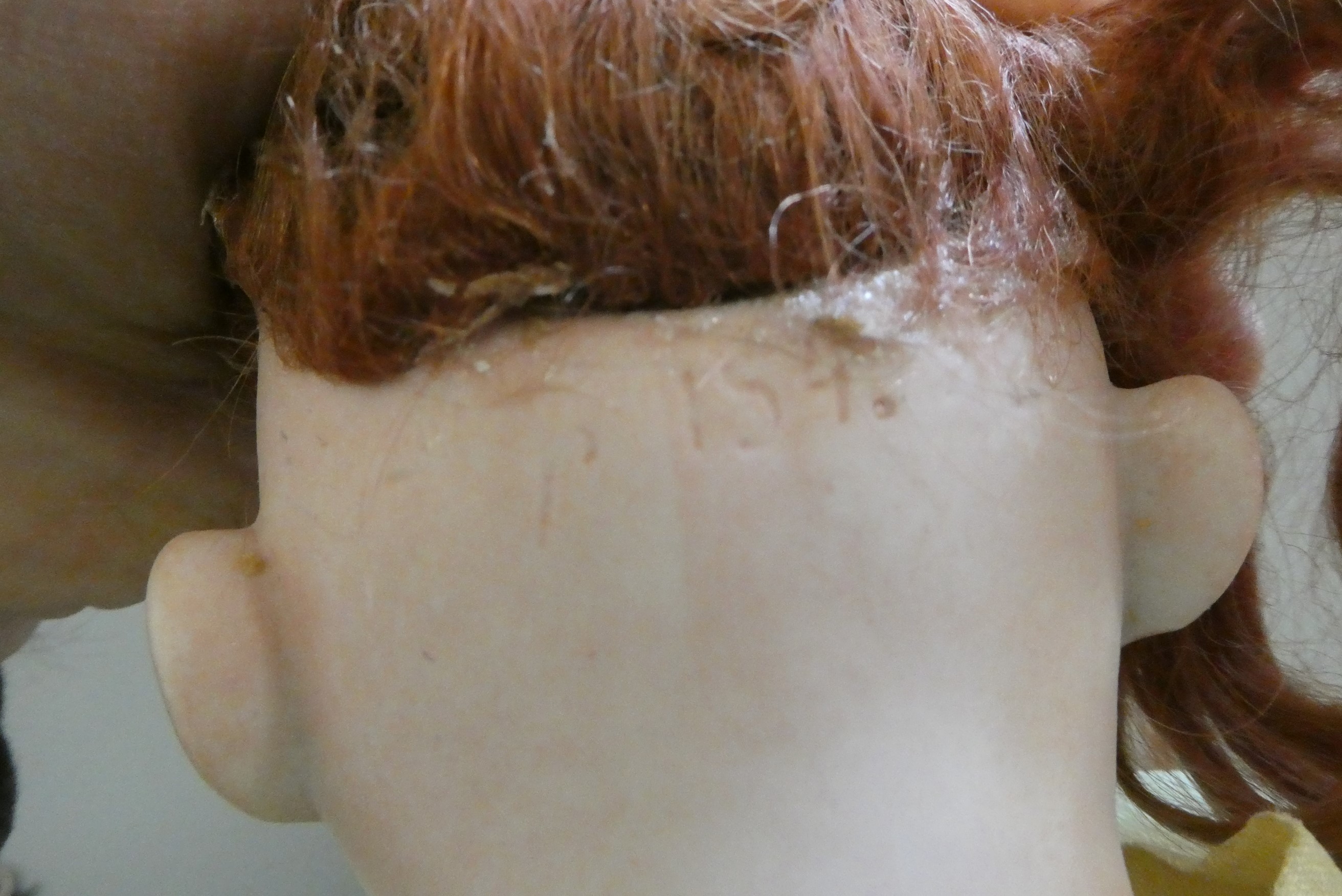 A Kestner bisque shoulder head doll Image