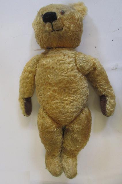 An English teddy bear Image